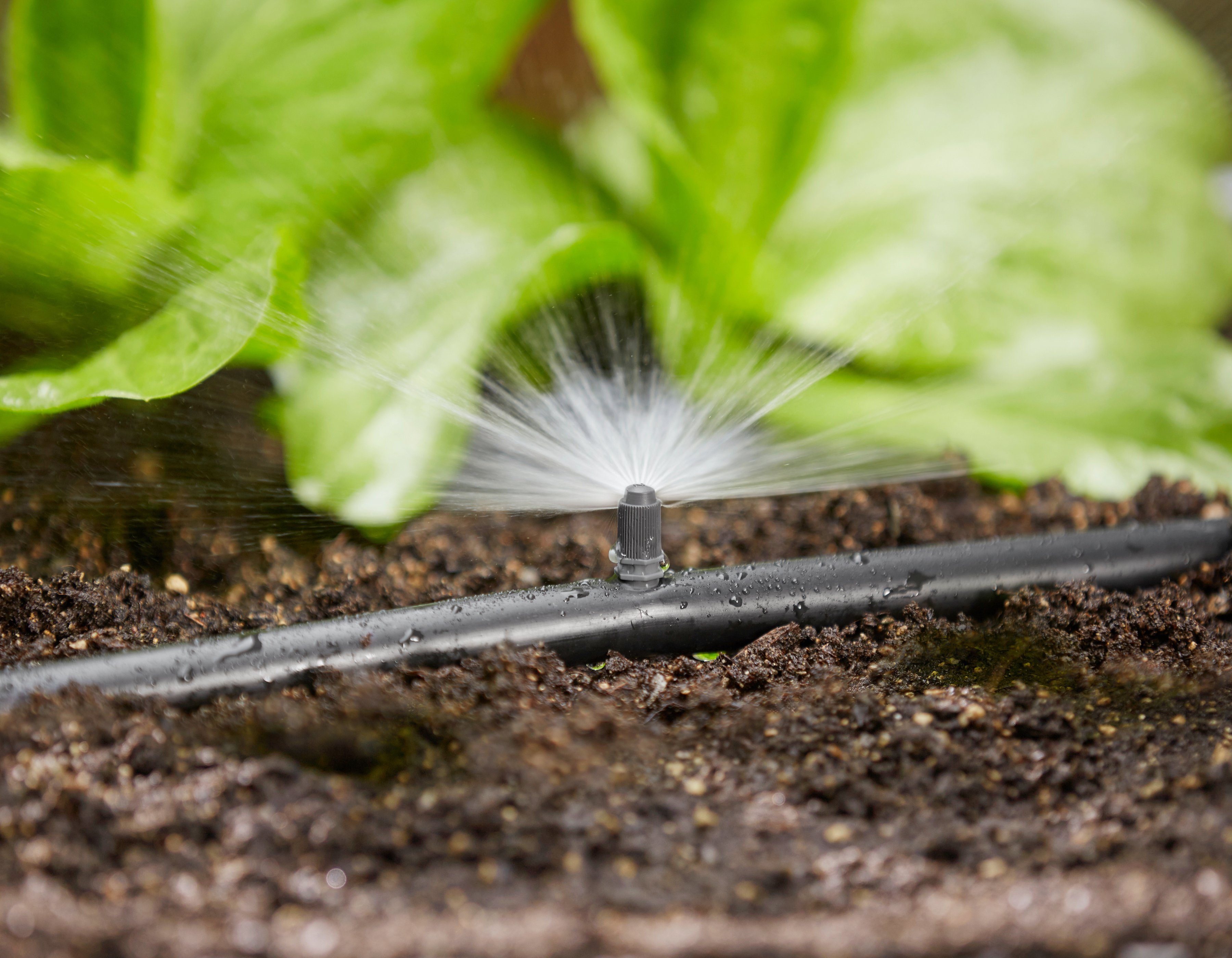 GARDENA Bewässerungssystem Micro-Drip-System, 1367-20, Sprühdüse  180°,Wurfweite max. 3 Meter, 5 Stück