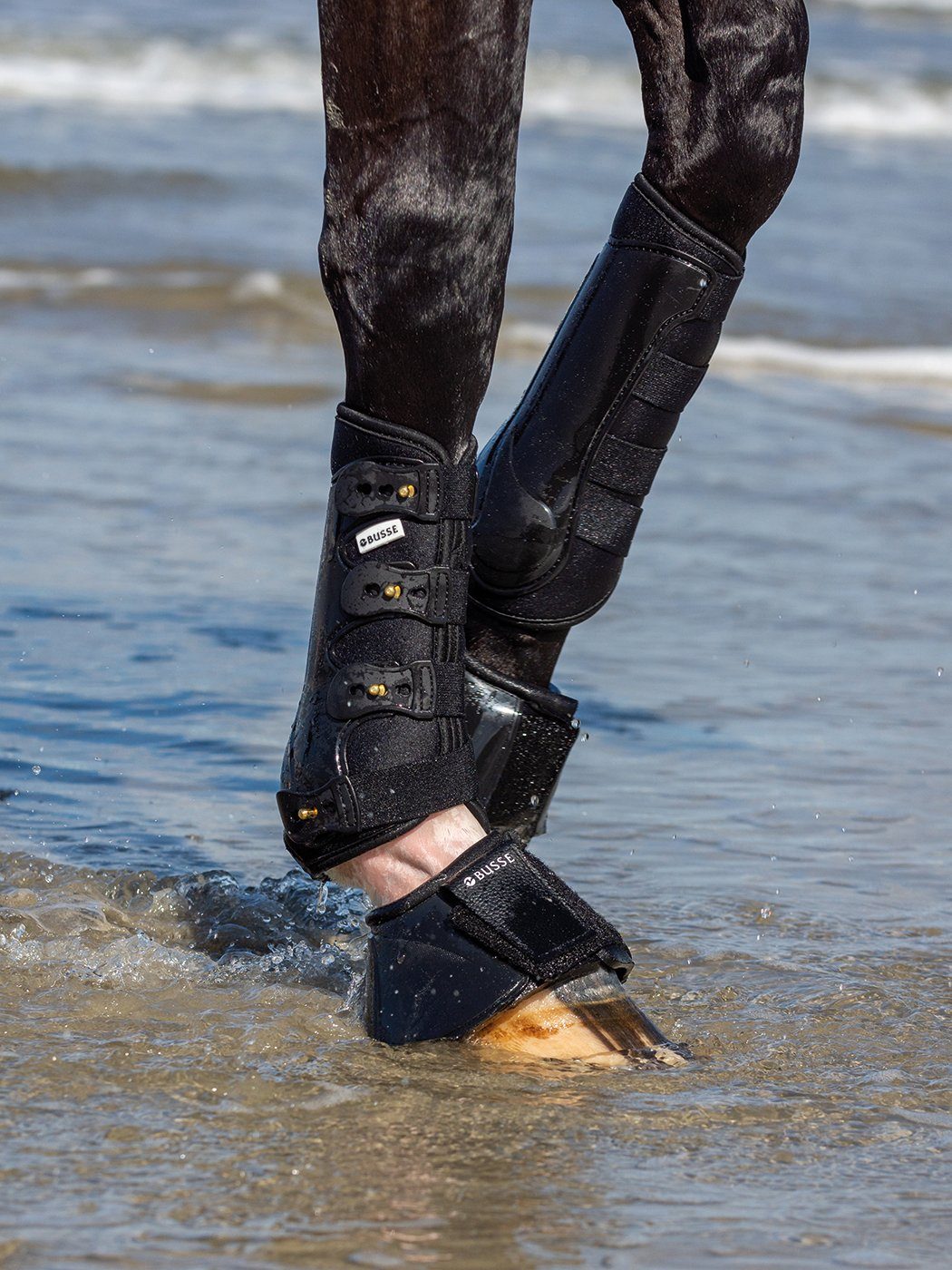 BUSSE Gamaschen Busse Gamaschen DRESSAGE-PRO günstig online kaufen