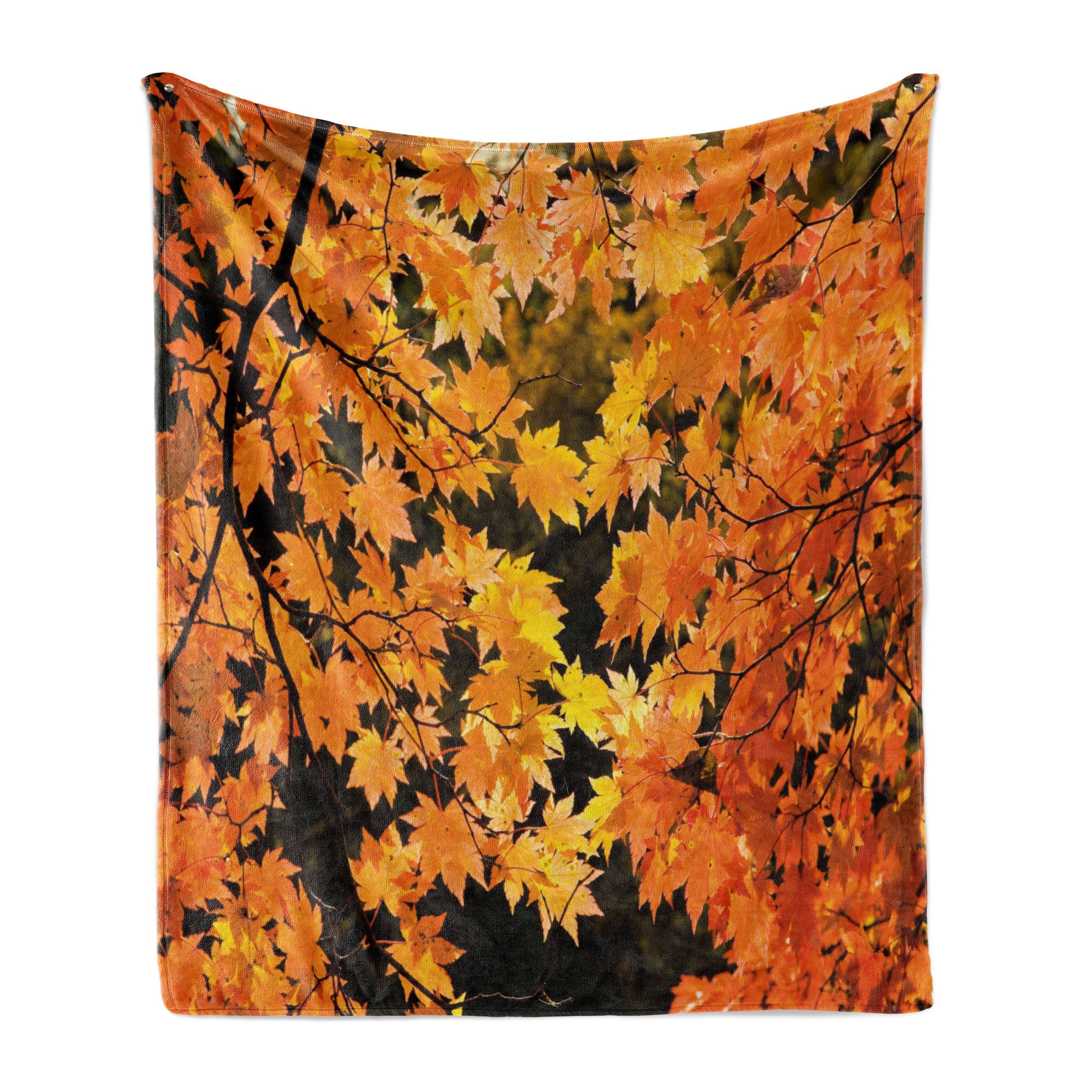 und Herbst-Ahornblätter Gemütlicher für Abakuhaus, den Vivid Innen- Blätter Plüsch Außenbereich, Wohndecke