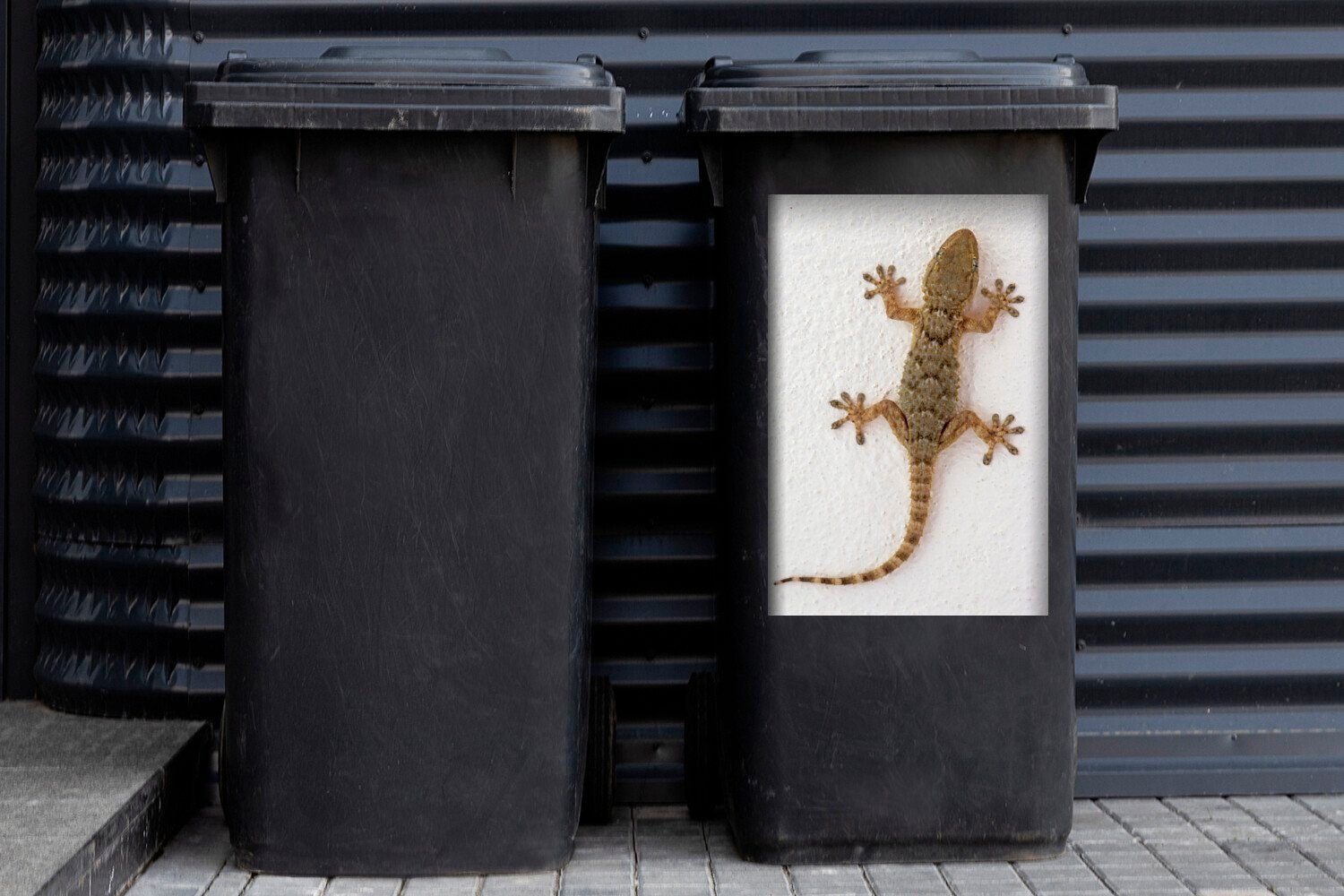 MuchoWow Wandsticker St), aus (1 Sticker, Mallorca Mülltonne, Mülleimer-aufkleber, Tarentola-Gecko Container, Abfalbehälter