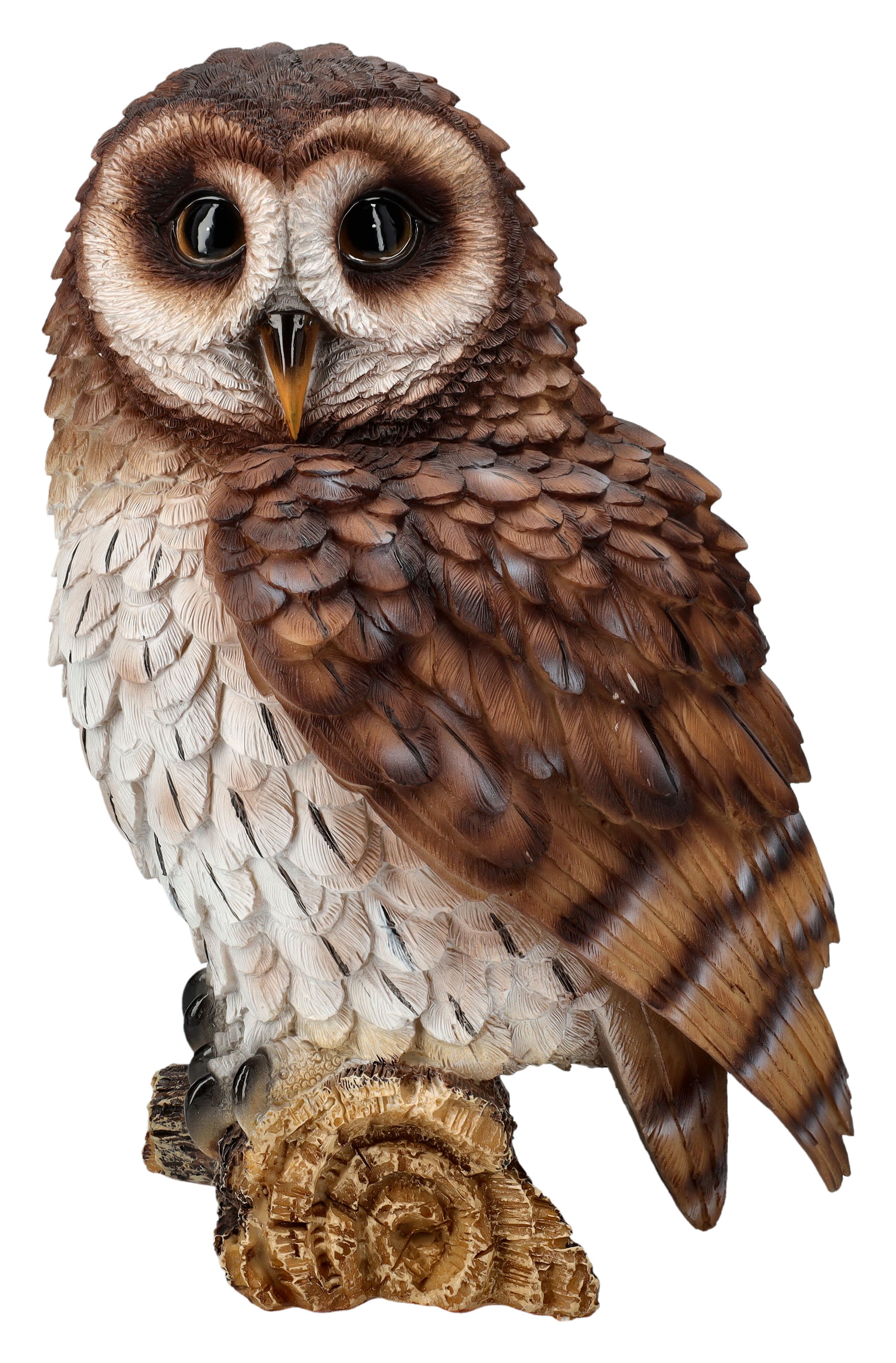 Figuren Shop GmbH Tierfigur Gartenfigur - Eule starrt - HotAnt - Tierfigur günstig online kaufen