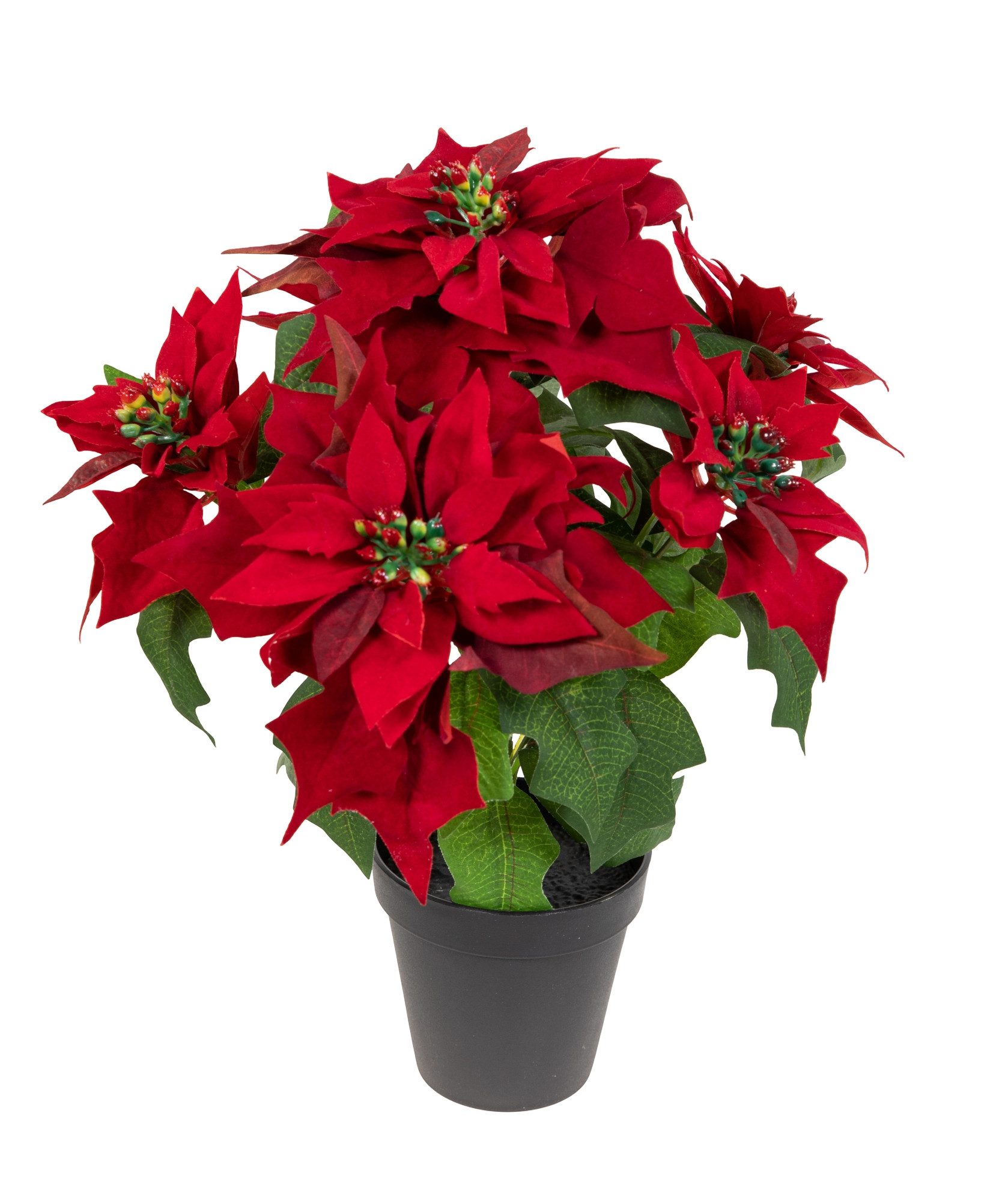 Kunstblume Weihnachtsstern Nature samt-rot im Topf PM Kunstblumen künstlich günstig online kaufen