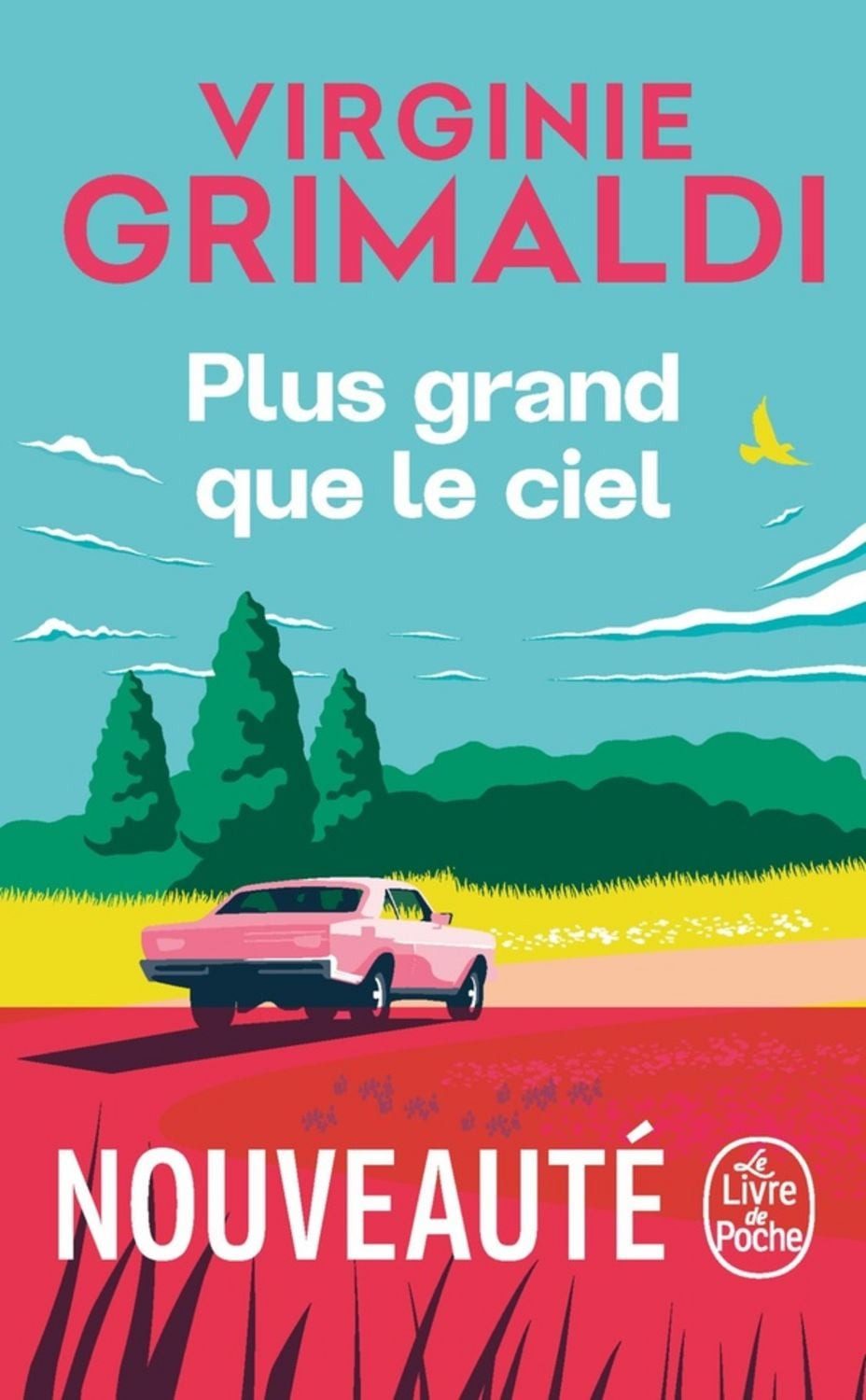 Plus grand que le ciel / Virginie Grimaldi