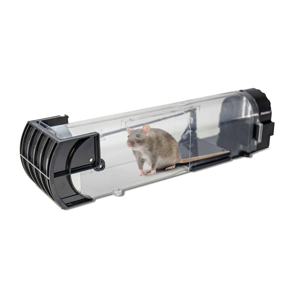 riijk Lebendfalle Tierfreundliche Mausefalle Lebend – für Mäuse zum schonenden Aussetzen, 32x6,5x7,5cm