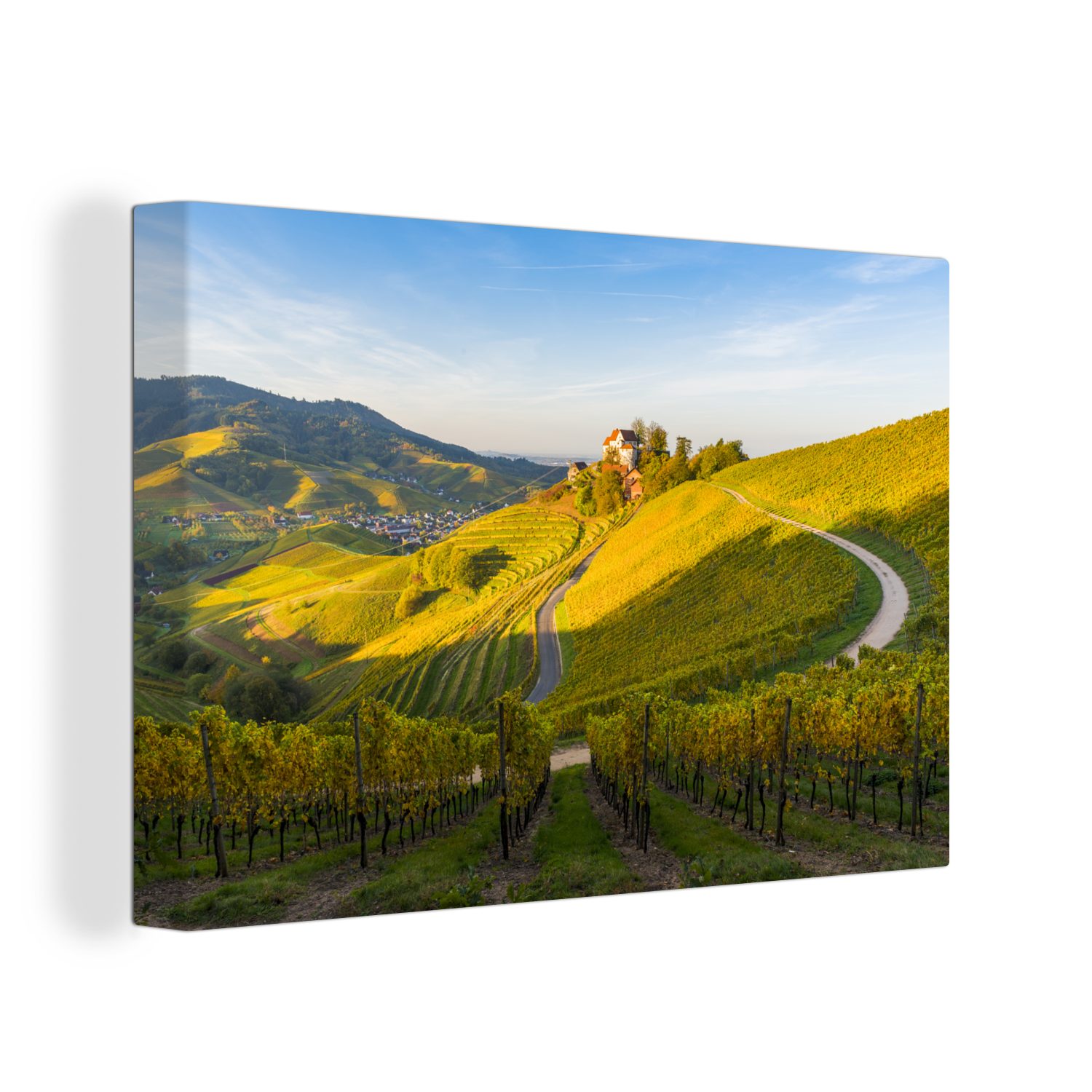 OneMillionCanvasses® Leinwandbild Foto vom Schwarzwald in Europa, (1 St), Wandbild Leinwandbilder, Aufhängefertig, Wanddeko, 30x20 cm