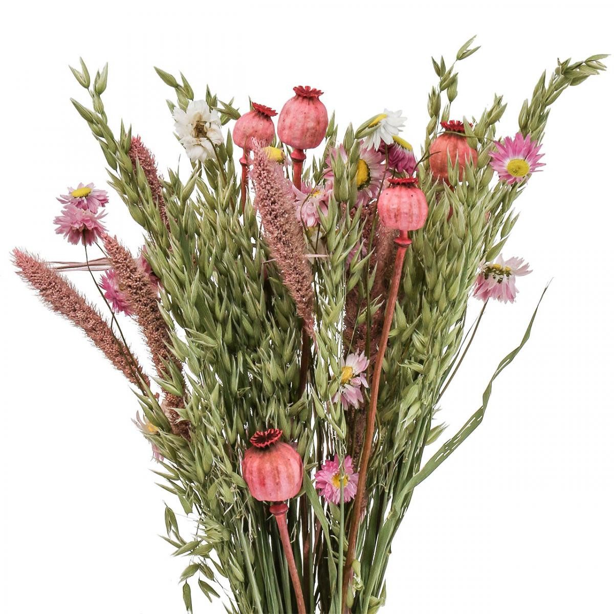 Trockenblume Trockenblumenstrauß Wiesenblumen Getrocknete Blüten Deko Pink H50cm