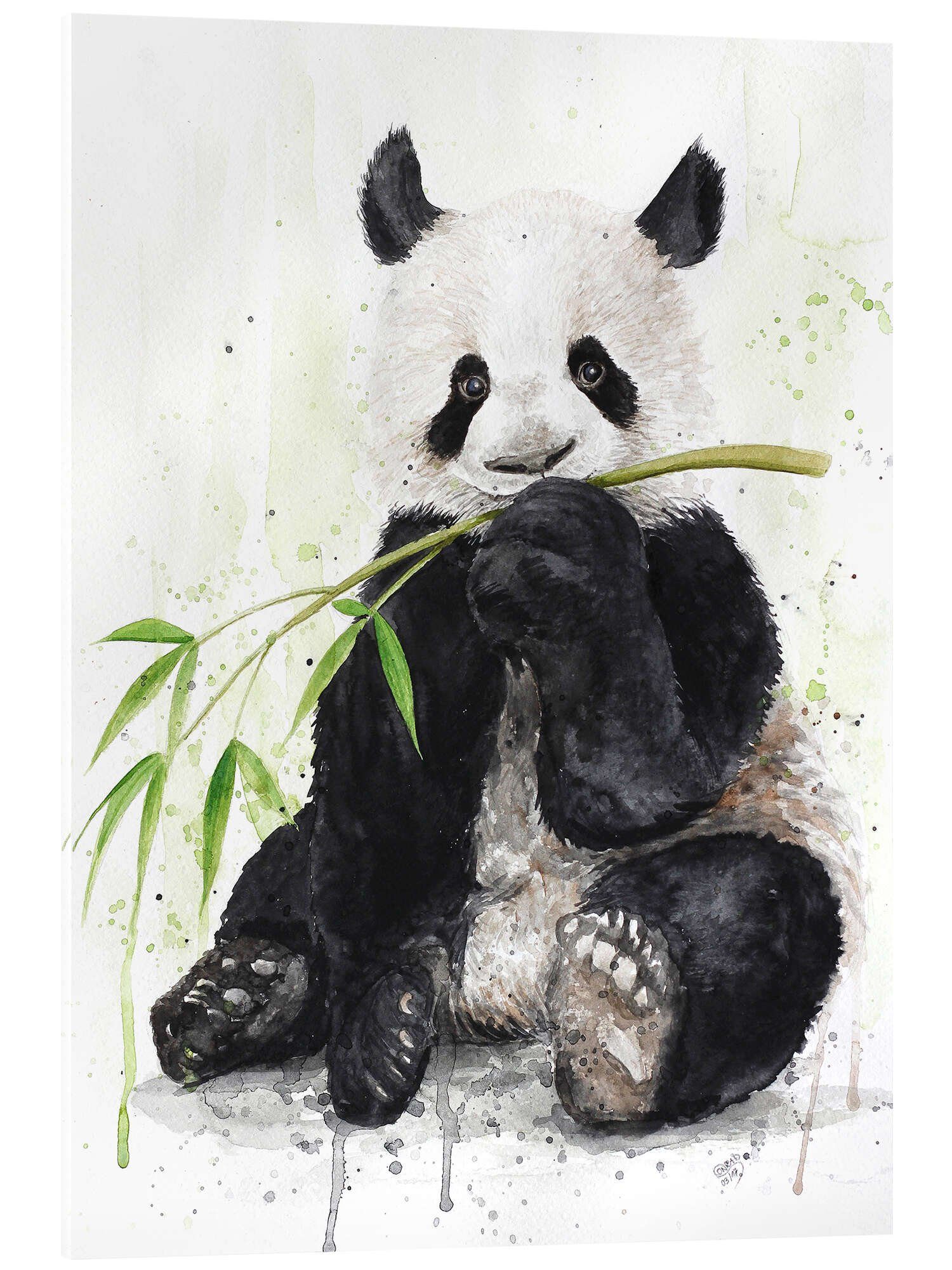 Posterlounge Wandbild Panda, Nadine Conrad, erhältlich als Poster, Leinwandbild, Wandsticker oder Acrylglasbild