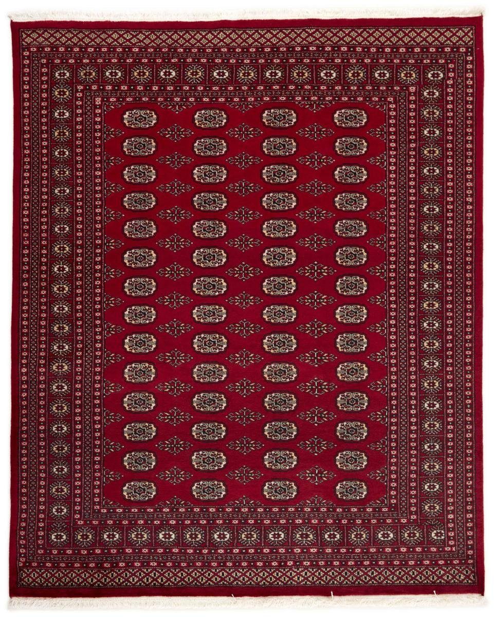 Orientteppich Pakistan Buchara 2ply 201x249 Handgeknüpfter Orientteppich, Nain Trading, rechteckig, Höhe: 8 mm