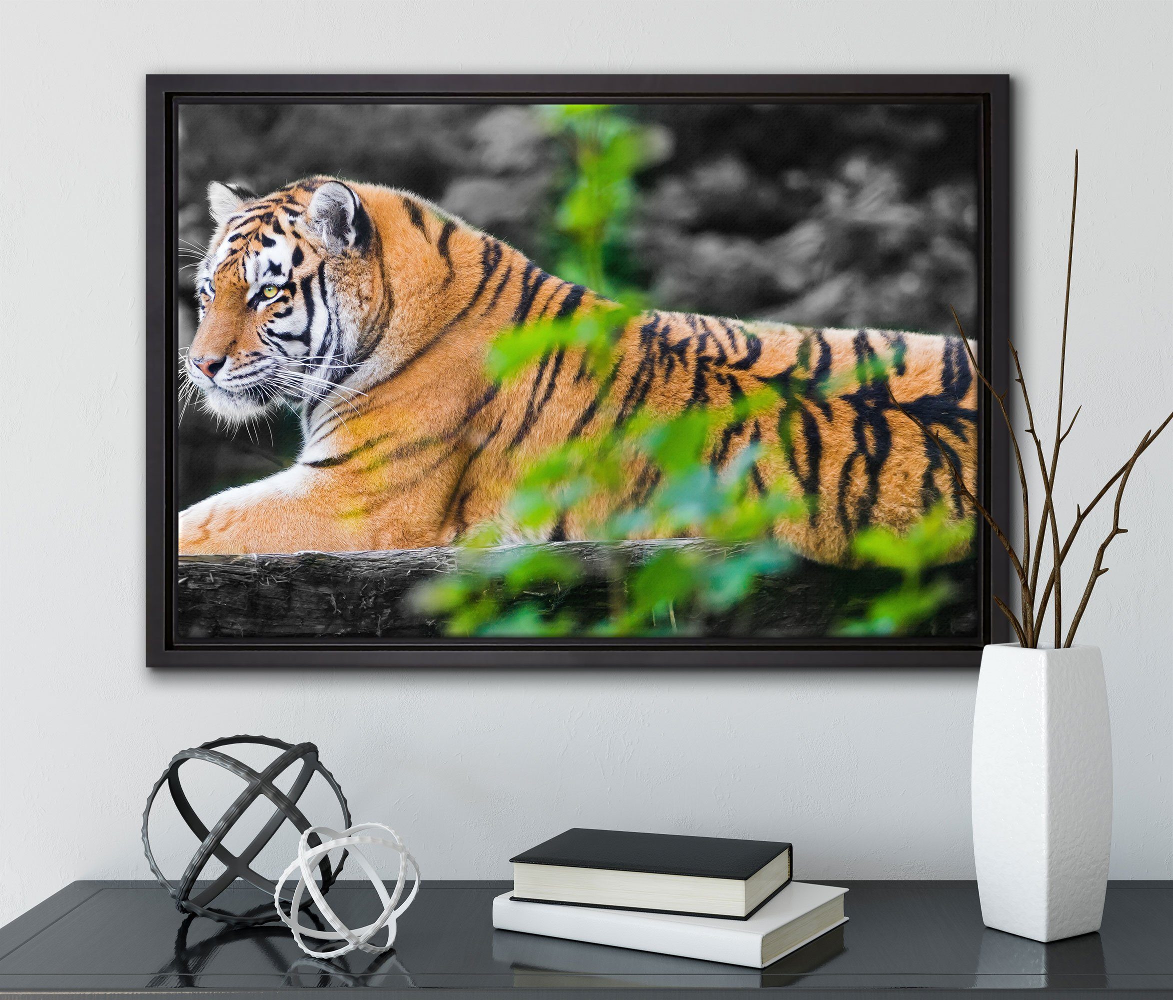 Leinwandbild inkl. Pixxprint St), in gefasst, bespannt, einem auf Tiger fertig Zackenaufhänger Baumstamm, Wanddekoration (1 Schattenfugen-Bilderrahmen Leinwandbild anmutiger
