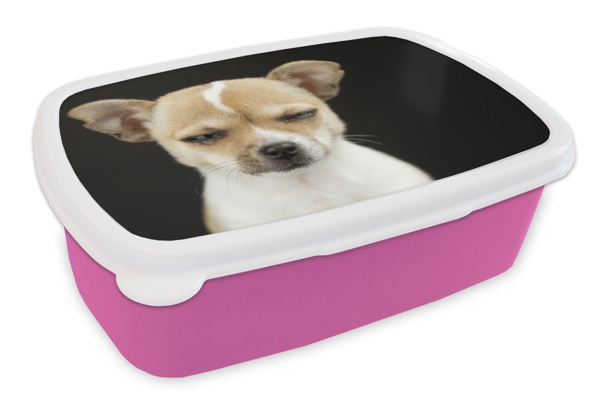 Kunststoff, Kinder, Snackbox, Erwachsene, für (2-tlg), Lunchbox Kunststoff - rosa Mädchen, Porträt, Haustiere Hund Brotbox - Brotdose MuchoWow