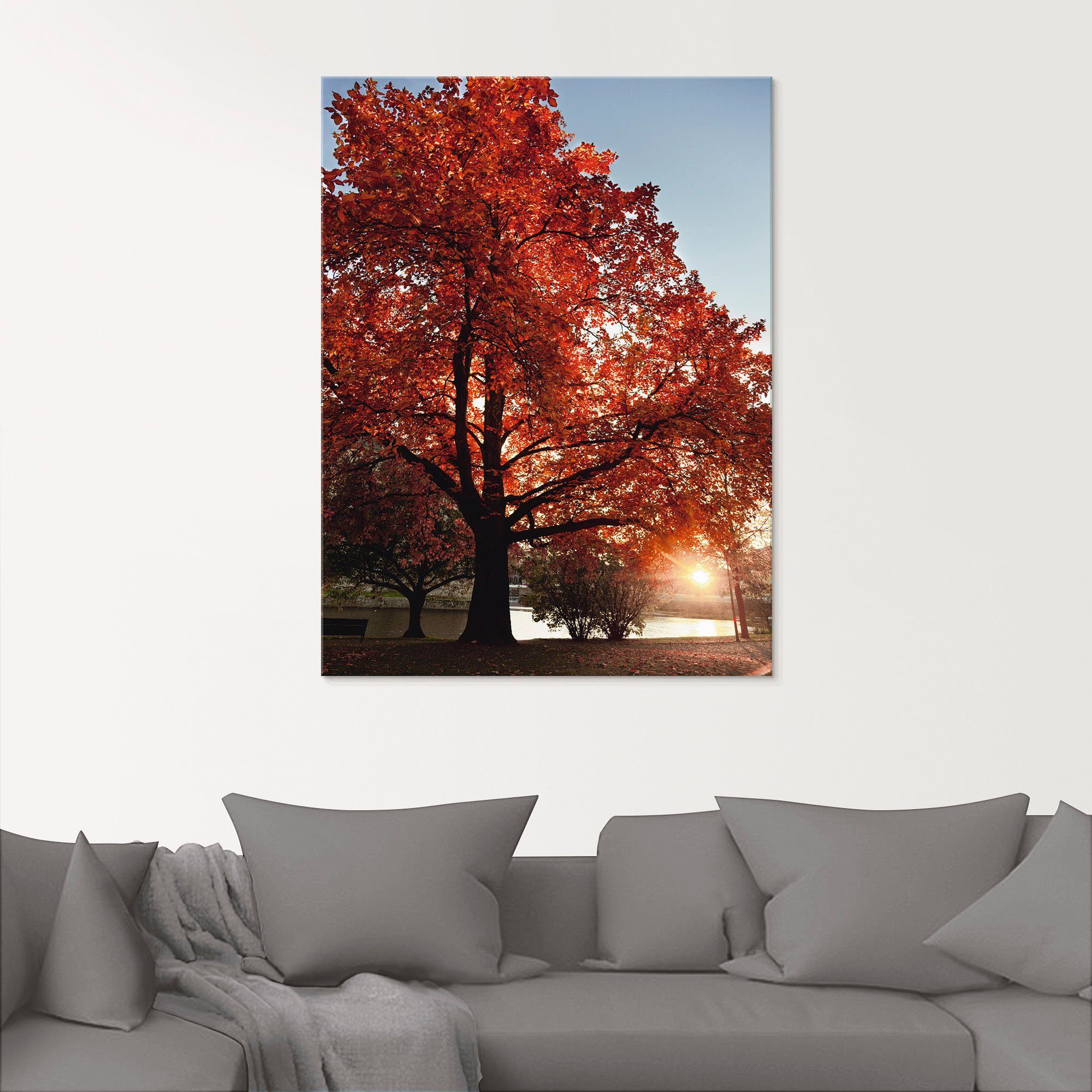 Artland Glasbild Herbstbaum, Bäume (1 St), in verschiedenen Größen