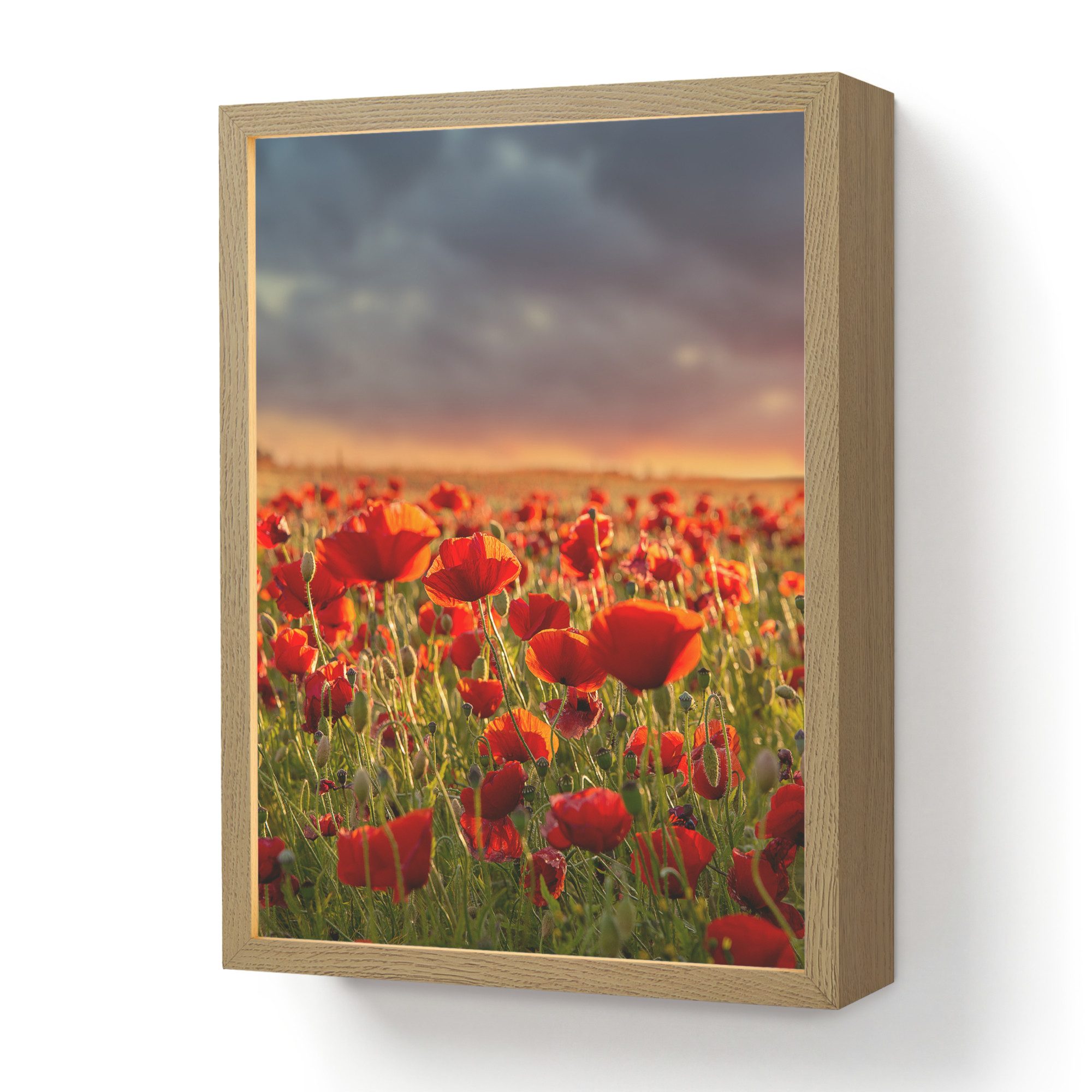 OnlyWow Wandleuchte Lightbox Sonnenuntergang - Mohnblumen - Rot - Blumen - Feld - Natur, Dimmbar, Farbwechsel, LED, Warmweiß, Kaltweiß, Neutralweiß Einstellbar, Wandlampe Innen, Dimmbar, Aufladbarer USB Akku, LED, Beleuchtung