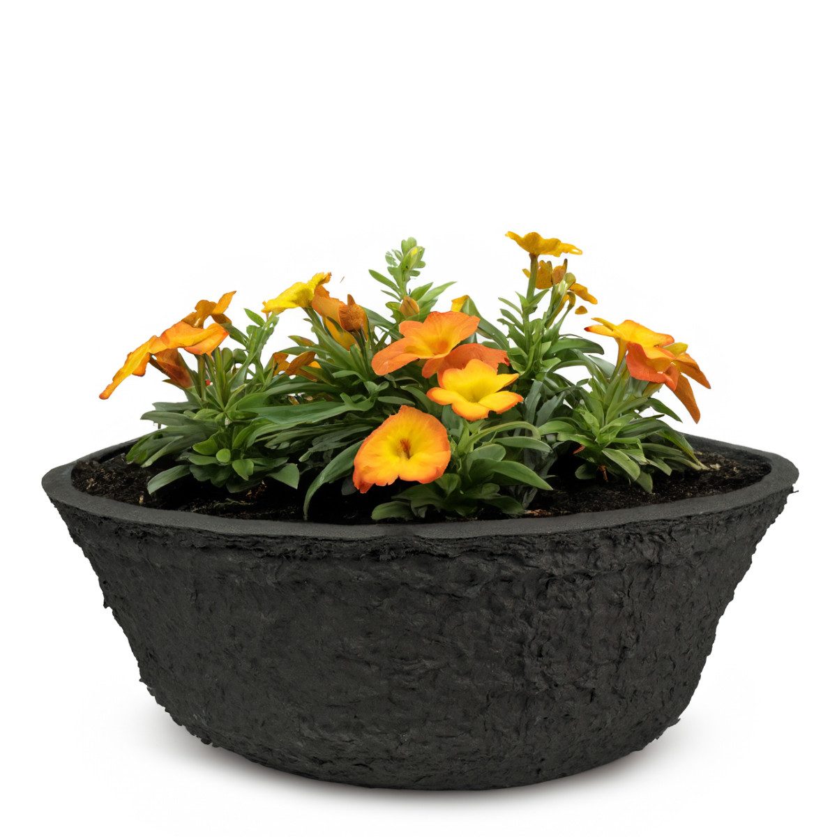 Blumentopf Pflanzschale für außen, biologisch abbaubar, rund 19 cm