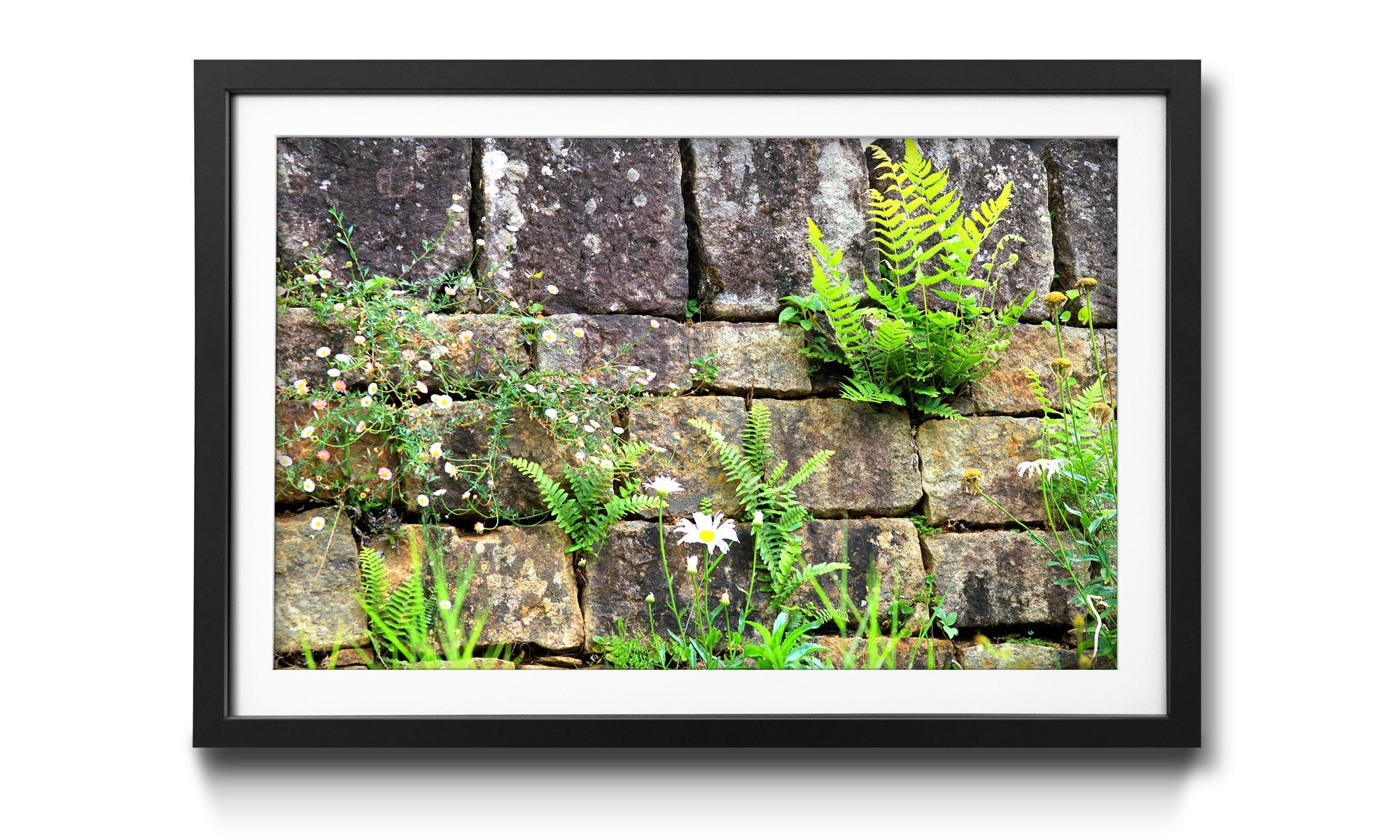 WandbilderXXL Bild mit Rahmen Comes, 4 erhältlich Blumen, Größen Wandbild, in Nature