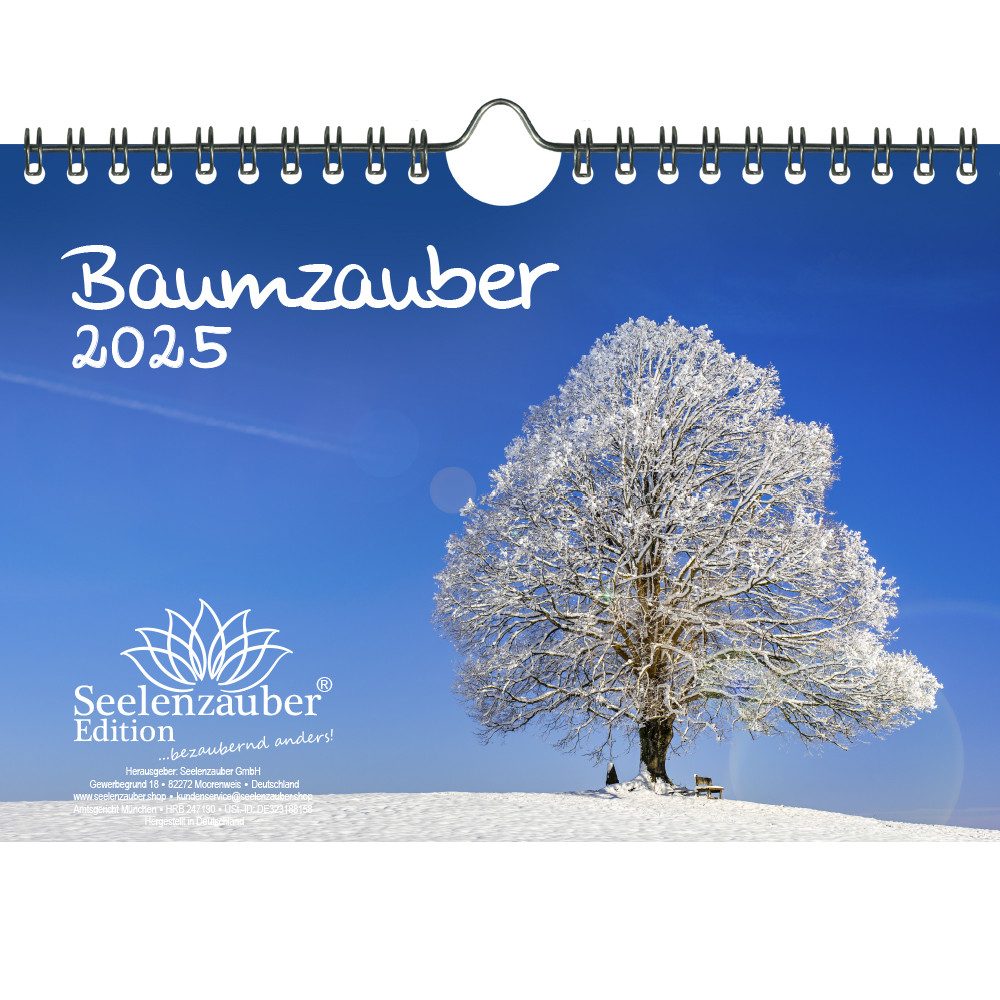 Seelenzauber Wandkalender Baumzauber DIN A5 Kalender für 2025 Baum Bäume Wald Natur