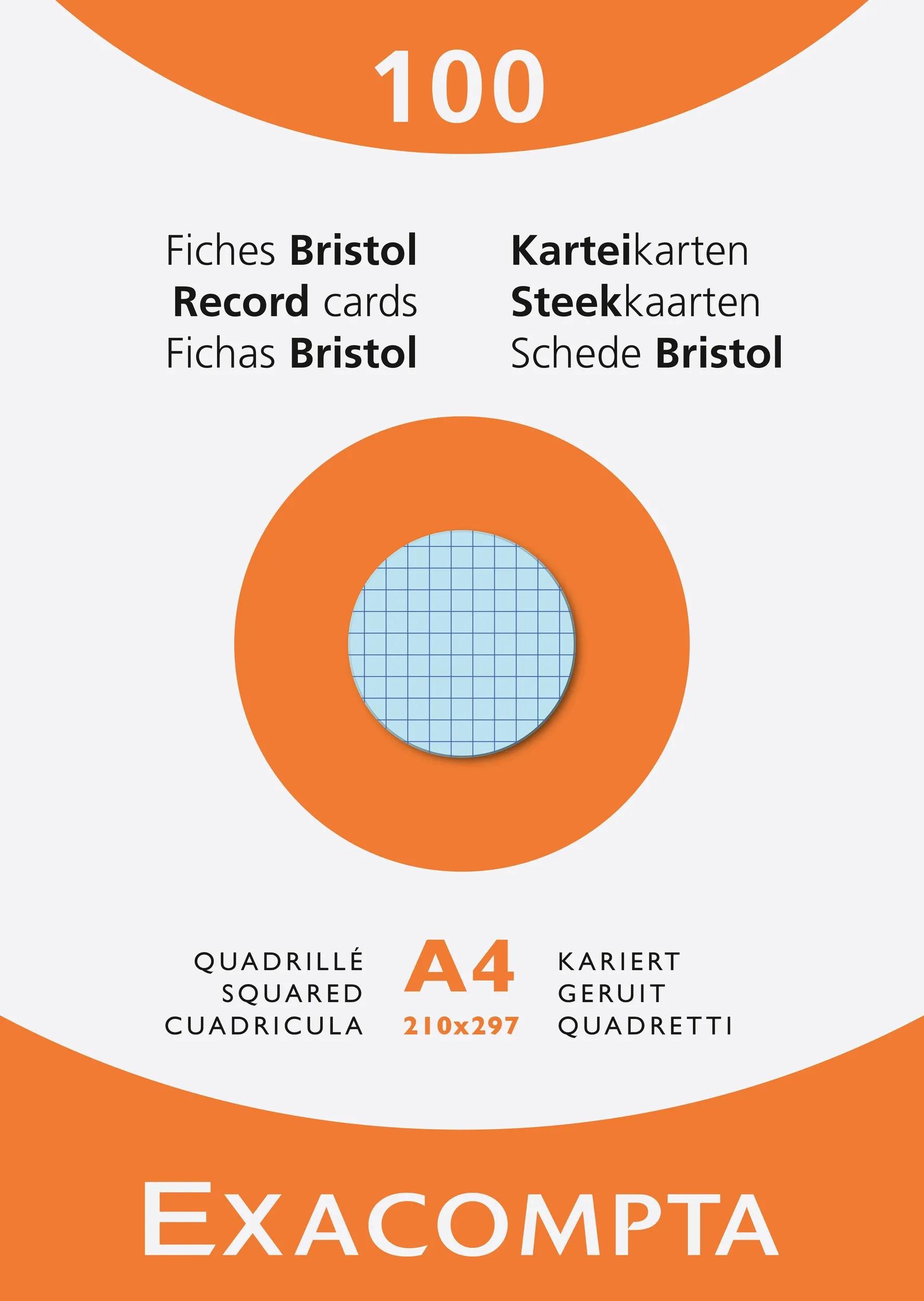 EXACOMPTA Karteikarten Karteikarten A4 kariert, Faltschachtel mit 100 Stück, sortiert, 13276E, Karteikarten kariert