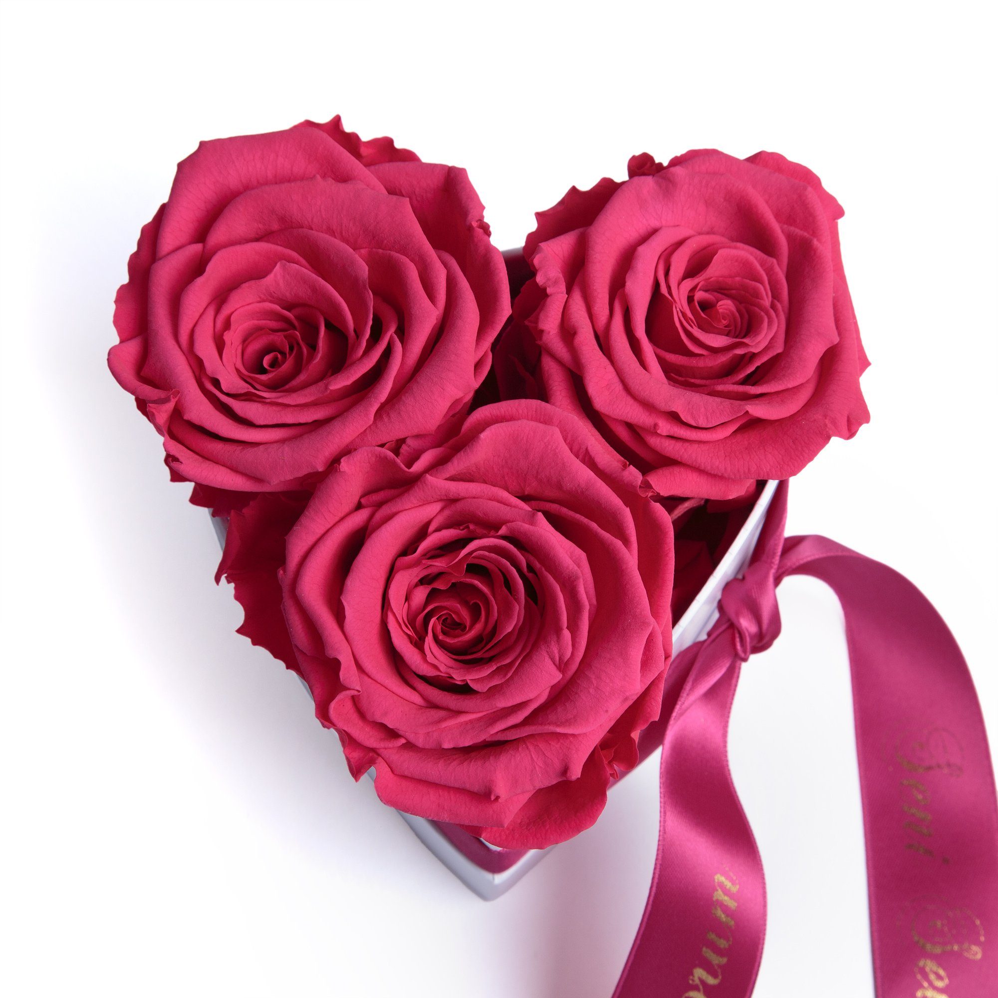 SCHULZ cm, konserviert Pink Infinity Seviyorum Rosen ROSEMARIE Rose, 10 Herz lang haltbar echte Rosenbox Seni Kunstblume Heidelberg, 3 echte Höhe Rosen