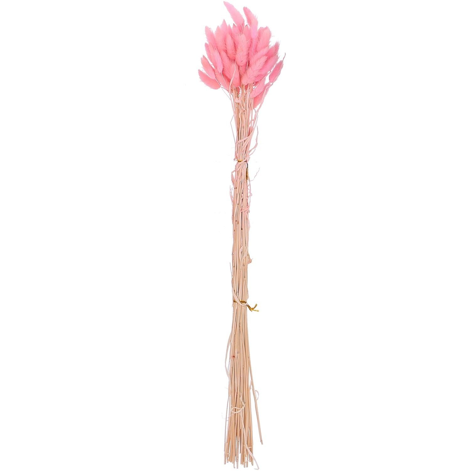 Trockenblume Lagurus kurz - Bund/50 Stück - Länge ca. 50-60 cm - rosa, Vosteen