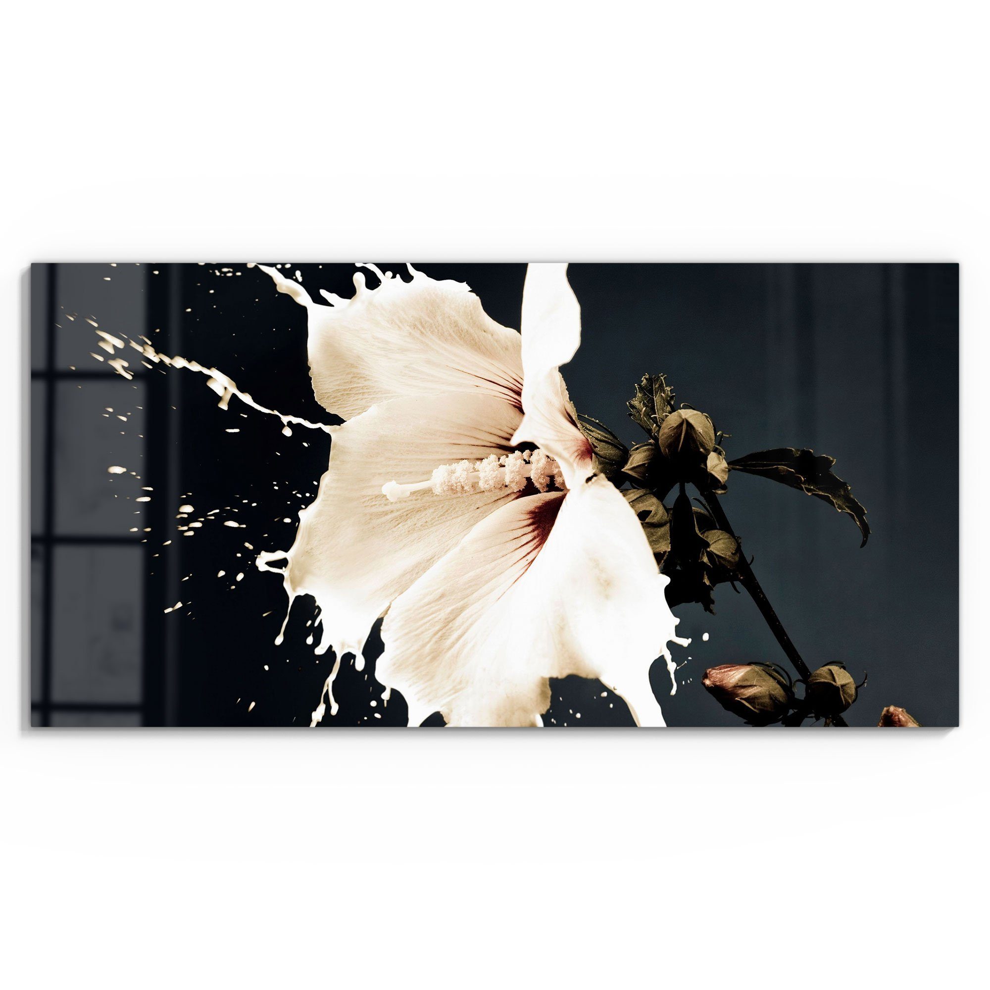DEQORI Glasbild 'Milchige Blüte', 'Milchige Blüte', günstig online kaufen