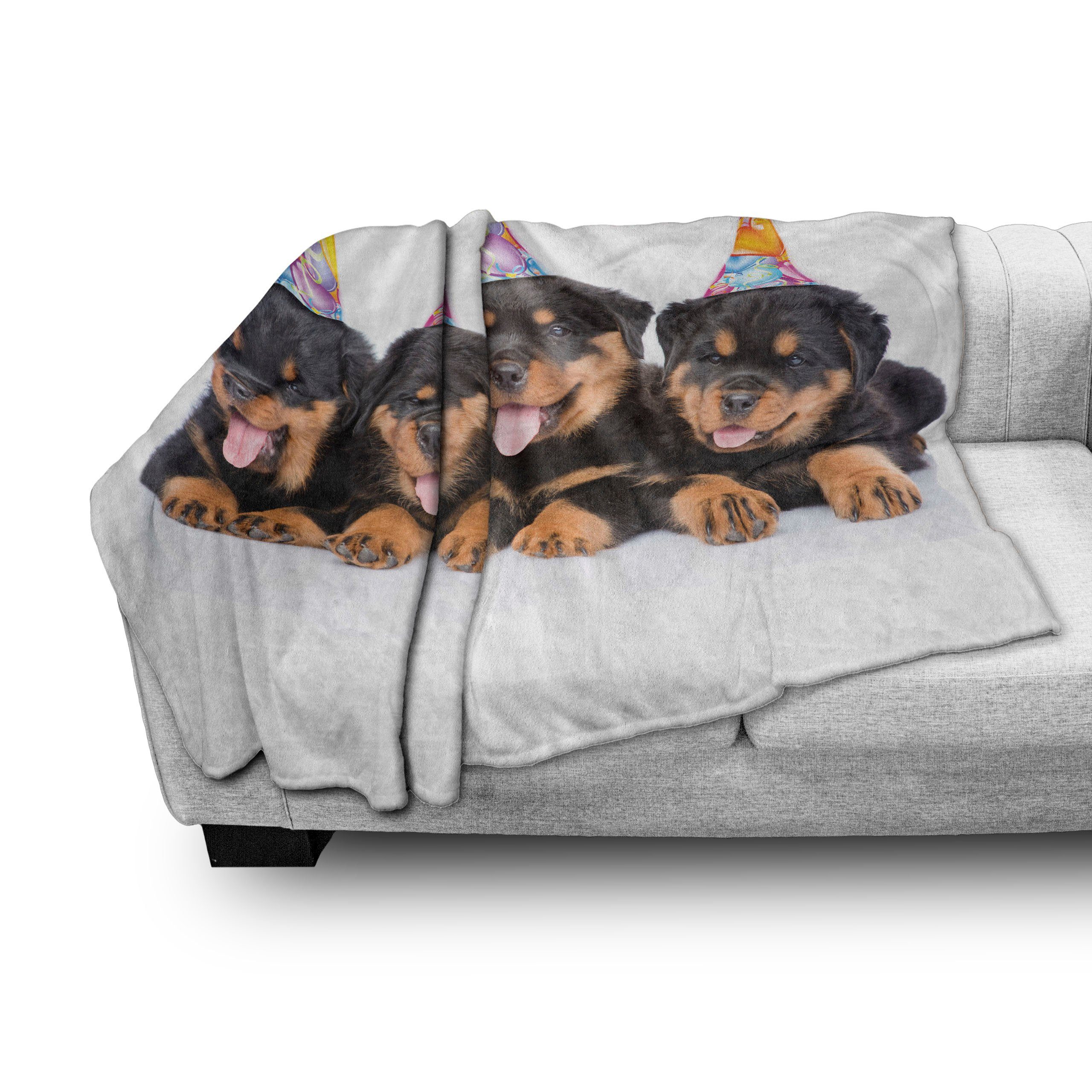 Wohndecke Gemütlicher für Geburtstags-Hunde Innen- Abakuhaus, Plüsch und Geburtstag Außenbereich, den Kappen