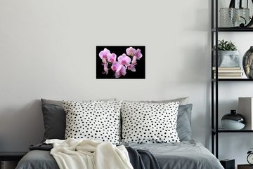 MuchoWow Wandsticker Orchidee - Blumen - Rosa - Flora (1 St), Wandaufkleber, Wandtattoo, Selbstklebend, Wohnzimmer, Schlafzimmer