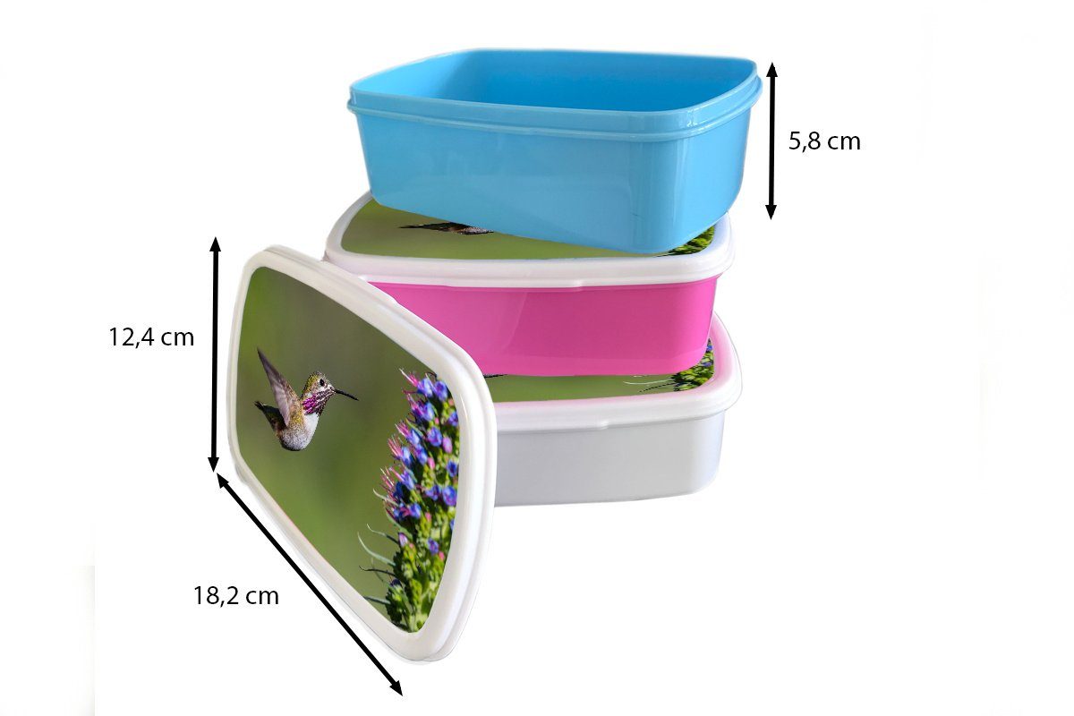 MuchoWow Lunchbox Kolibri Brotbox (2-tlg), Kunststoff, Vogel, für - rosa Pflanze Snackbox, Brotdose - Kinder, Kunststoff Mädchen, Erwachsene