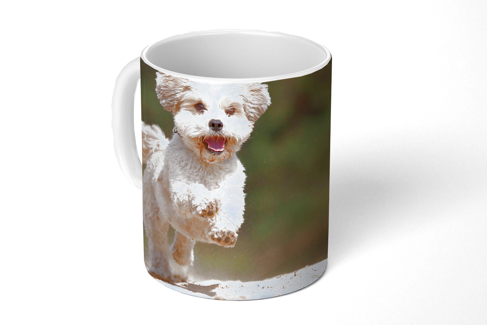 MuchoWow Tasse Ein Shih Tzu Hund hüpft durch den gelben Sand, Keramik, Kaffeetassen, Teetasse, Becher, Teetasse, Geschenk