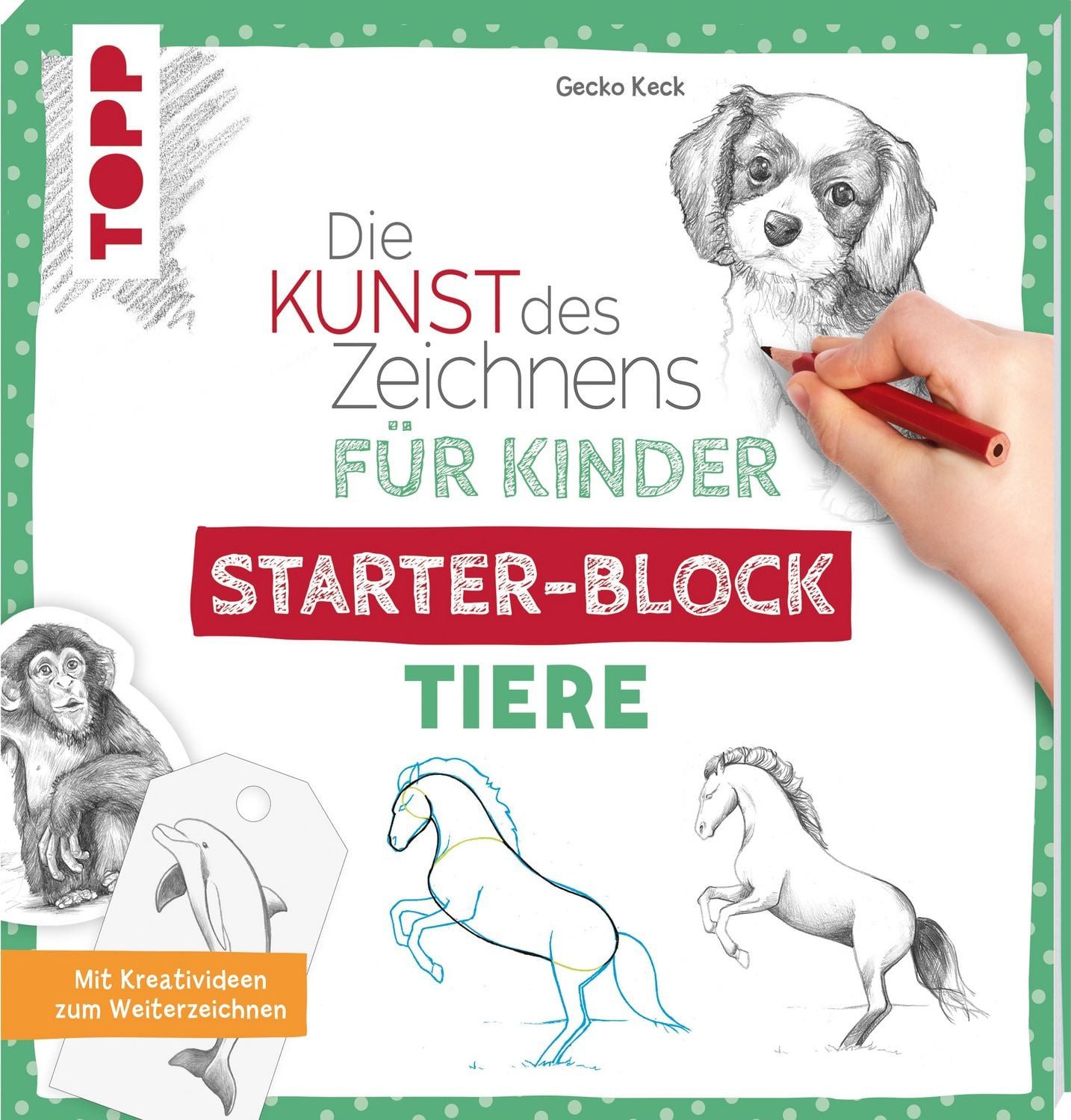 Die Kunst des Zeichnens für Kinder Starter-Block - Tiere / Gecko Keck