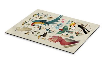 Posterlounge XXL-Wandbild Dieter Braun, Vögel, Mädchenzimmer Vintage Kindermotive