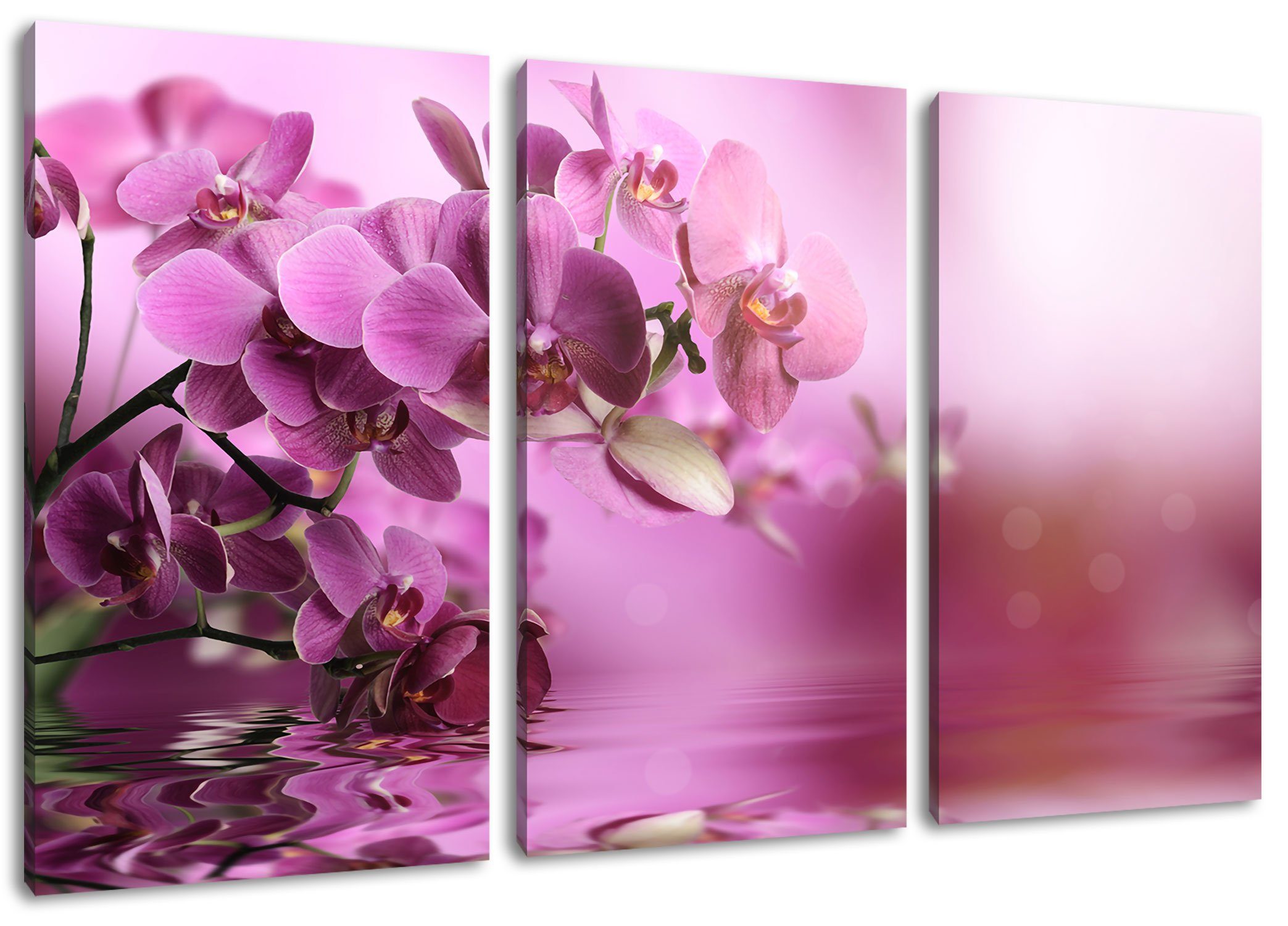 (1 inkl. Leinwandbild (120x80cm) fertig Pixxprint 3Teiler St), Wunderschöne bespannt, Wunderschöne Leinwandbild Orchideenblüten Orchideenblüten, Zackenaufhänger