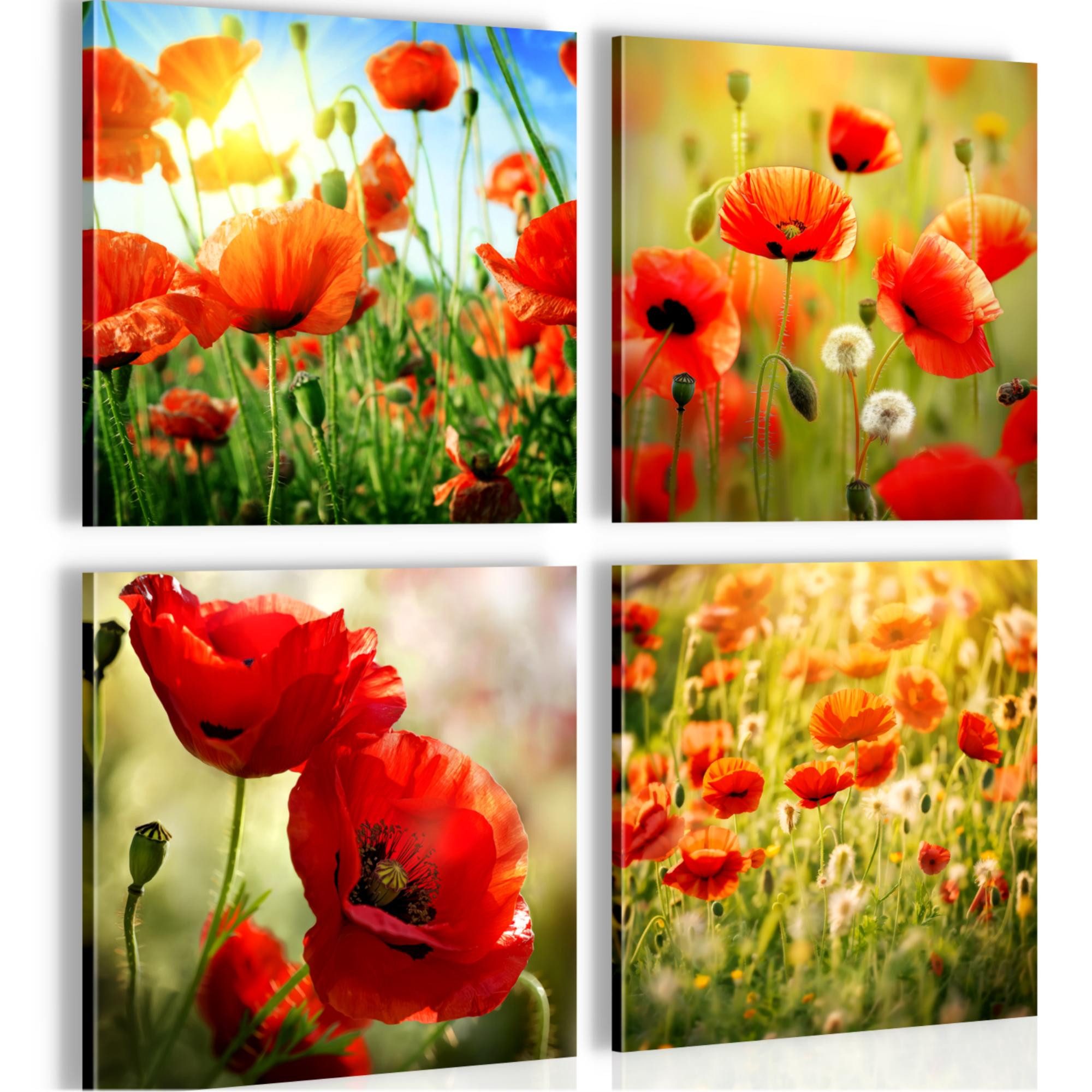 Novart Wandbild Bilder Blumenwiese Mohnblumen AUFHÄNGFERTIG Bunt Flur 4 N034644a, 30 x 30 cm - 4 Bilder