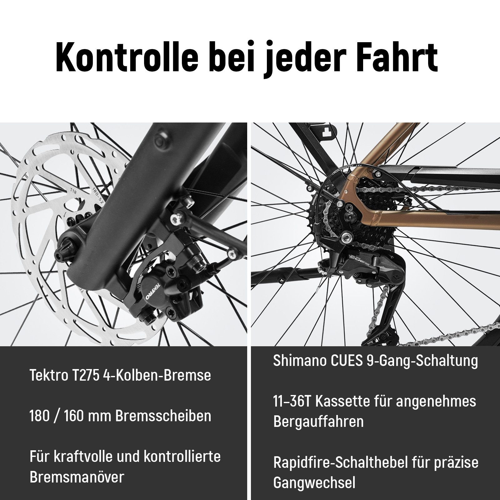 DERUIZ E-Bike Cityrad 28 Zoll Quartz Pro, 100 Nm Mittelmotor, 161 km, 5 Stufen, 48 V 644 Wh, 9 Gang SHIMANO Shimano CUES RD-U3020, 9-Gang Schaltwerk, Kettenscha – Bild 5 von 5
