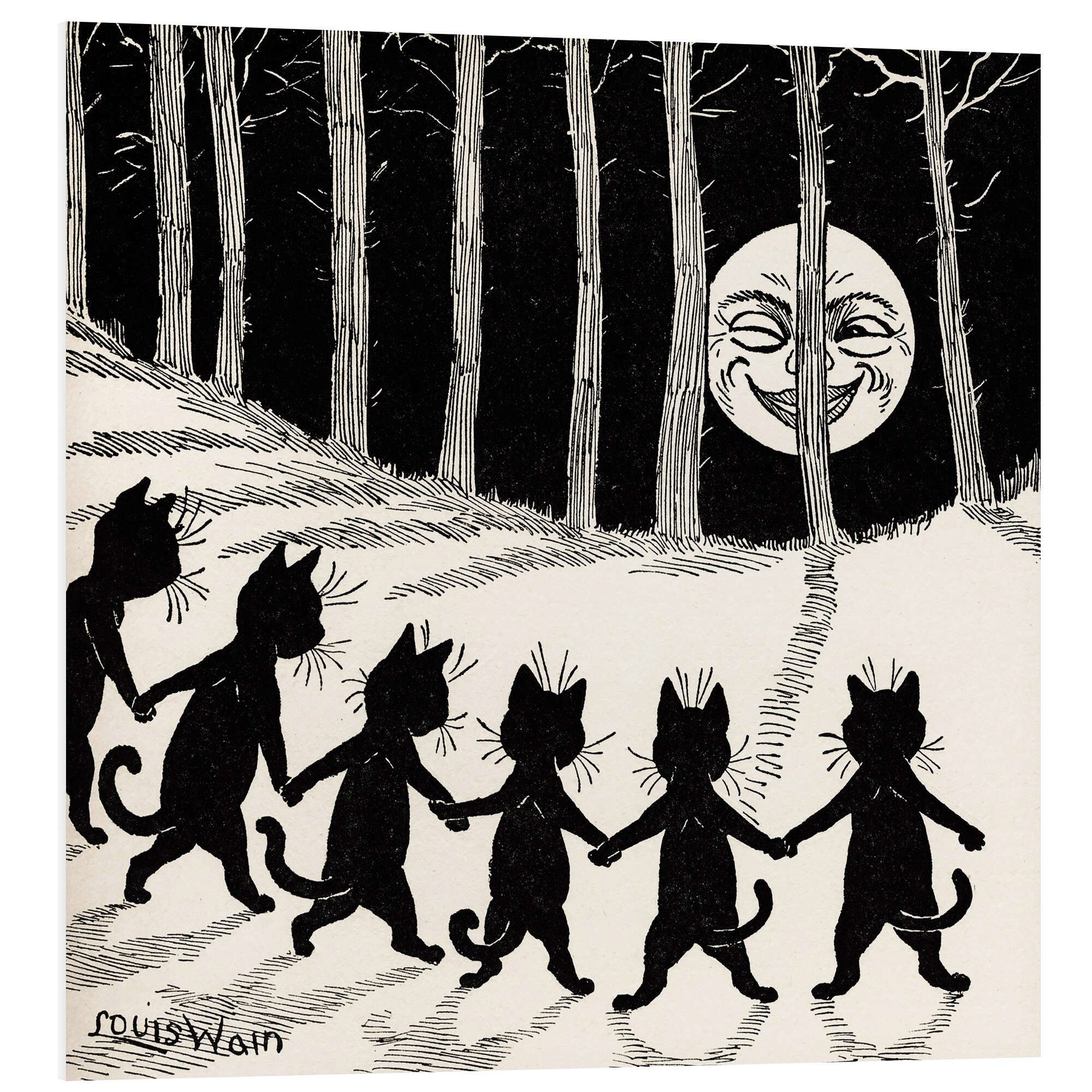 Posterlounge Wandbild Katzen bei Vollmond, Louis günstig online kaufen