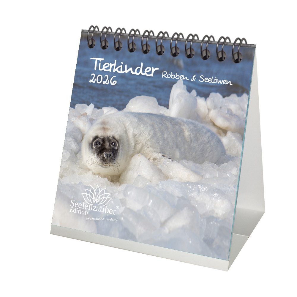 Seelenzauber Tischkalender Tierkinder Robben und Seelöwen Tischkalender 10cm x 10cm für 2026