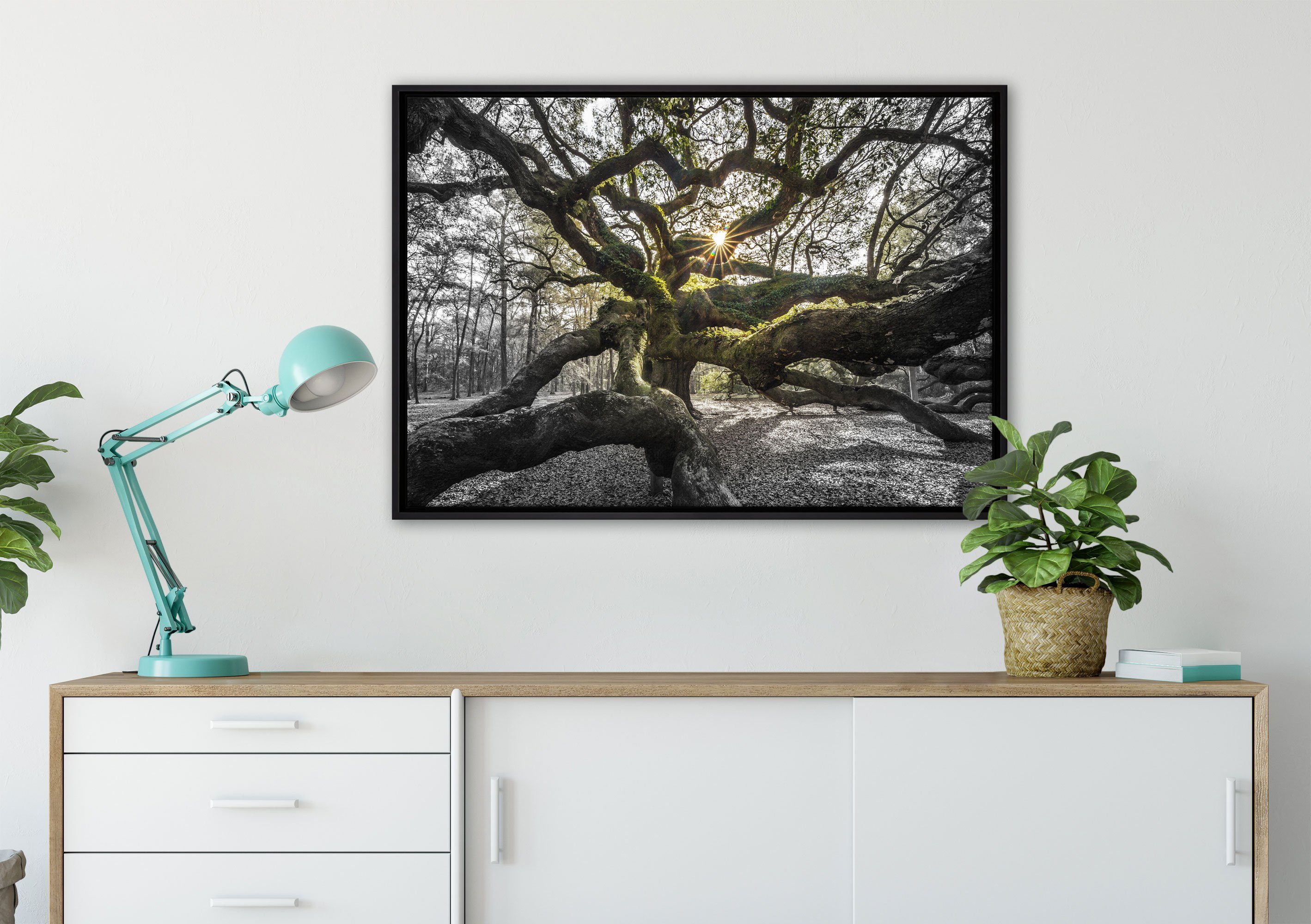 Pixxprint Leinwandbild gefasst, bespannt, gigantisch Baum, Zackenaufhänger verzweigter St), Schattenfugen-Bilderrahmen einem inkl. Wanddekoration (1 in Leinwandbild fertig