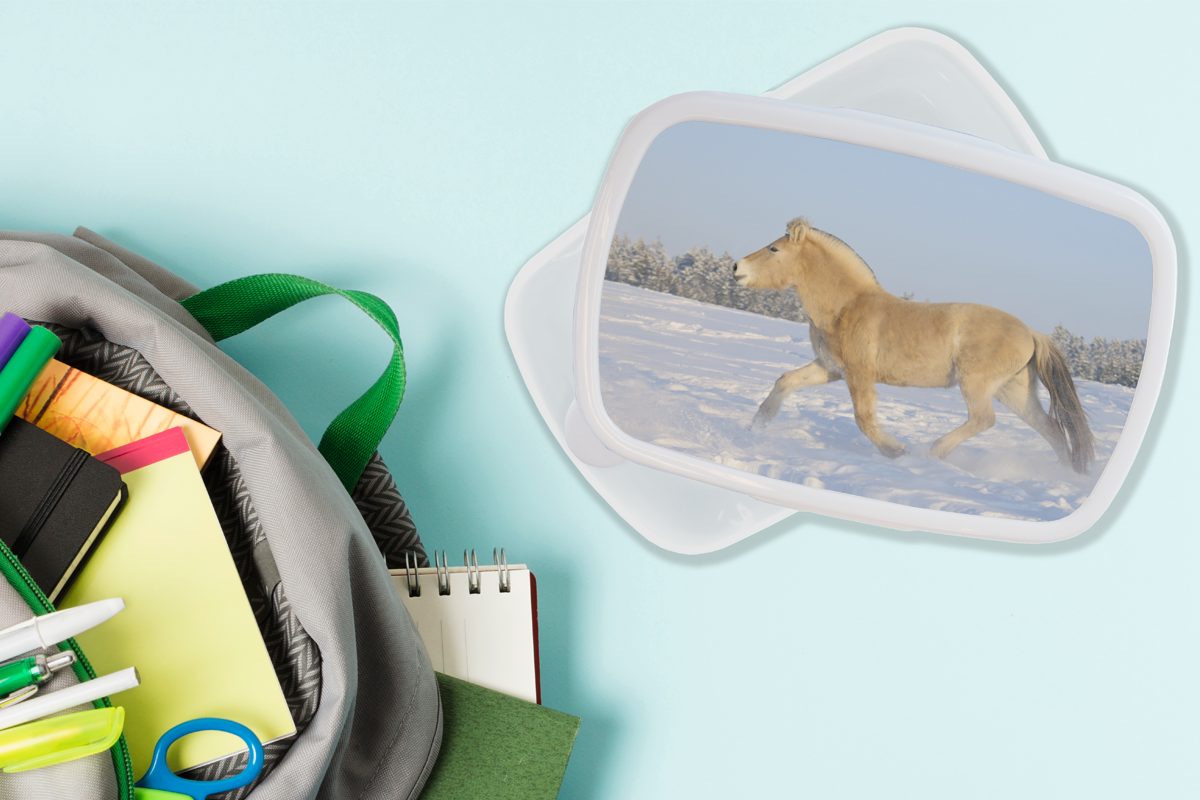 MuchoWow Schnee, (2-tlg), für Brotbox Jungs Kunststoff, Fjordpferd Erwachsene, im Trabendes und Kinder weiß Brotdose, Mädchen und für Lunchbox
