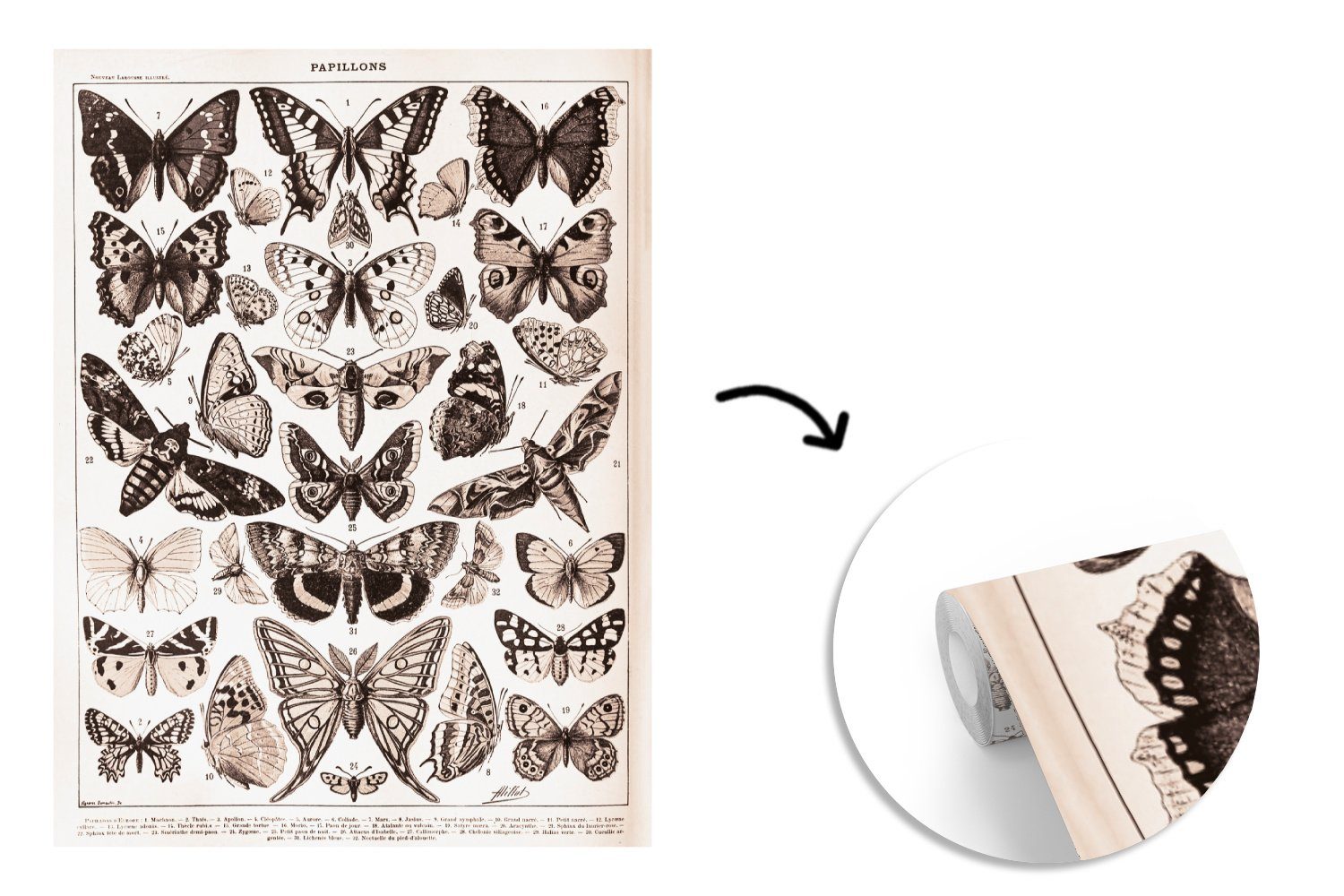 MuchoWow Fototapete Schmetterling - Tiere Weiß, St), Vinyl - Schwarz (4 Wohnzimmer, Wandtapete Matt, für Tapete - Montagefertig bedruckt