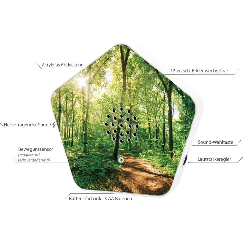 Olympia Wanddekoobjekt Sounds of Nature Vogelgesang günstig online kaufen