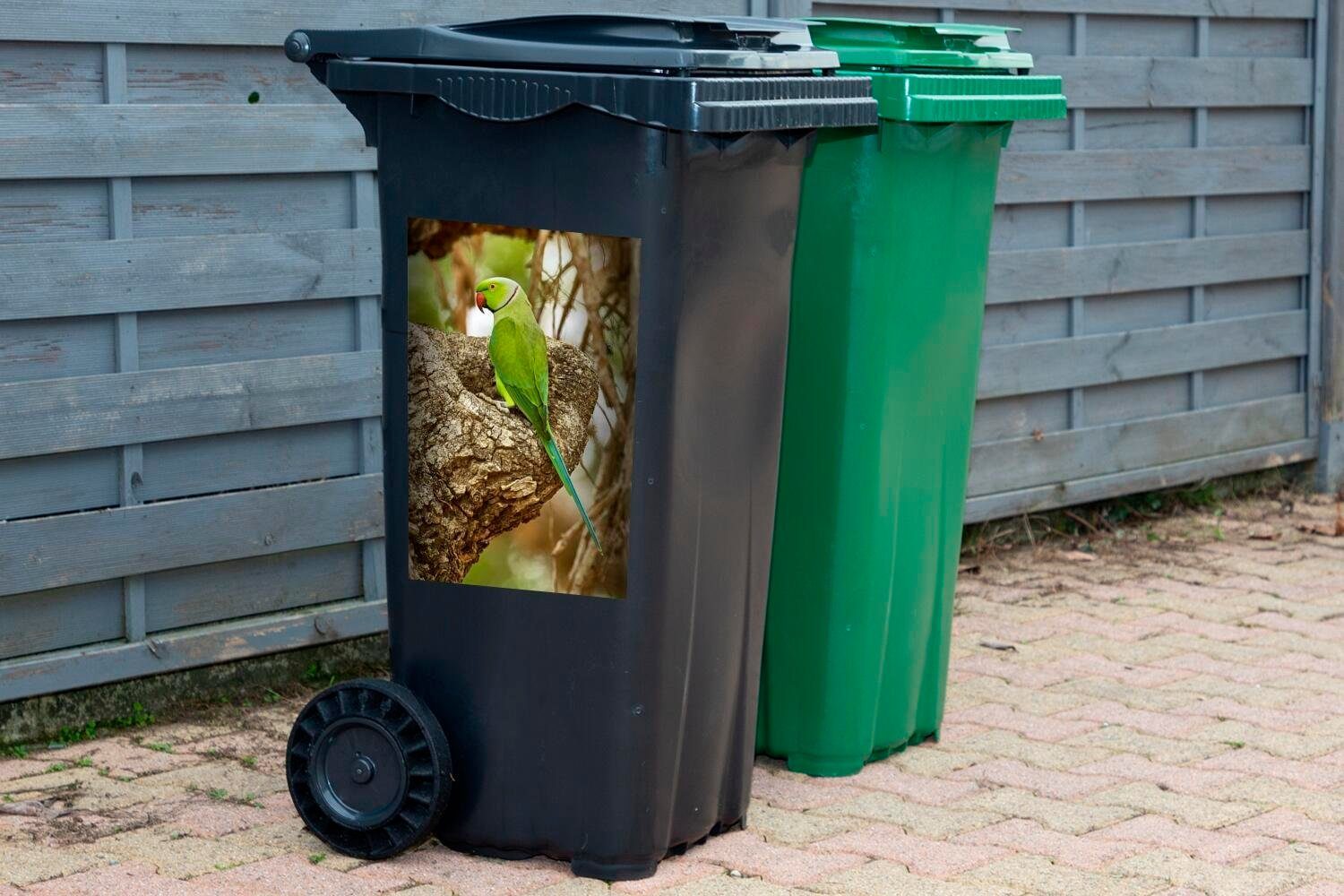 Das Container, einem Mülleimer-aufkleber, schöne (1 eines Mülltonne, Wandsticker Abfalbehälter Sticker, Ast St), Alexandersittichs grüne sitzenden MuchoWow Fell auf