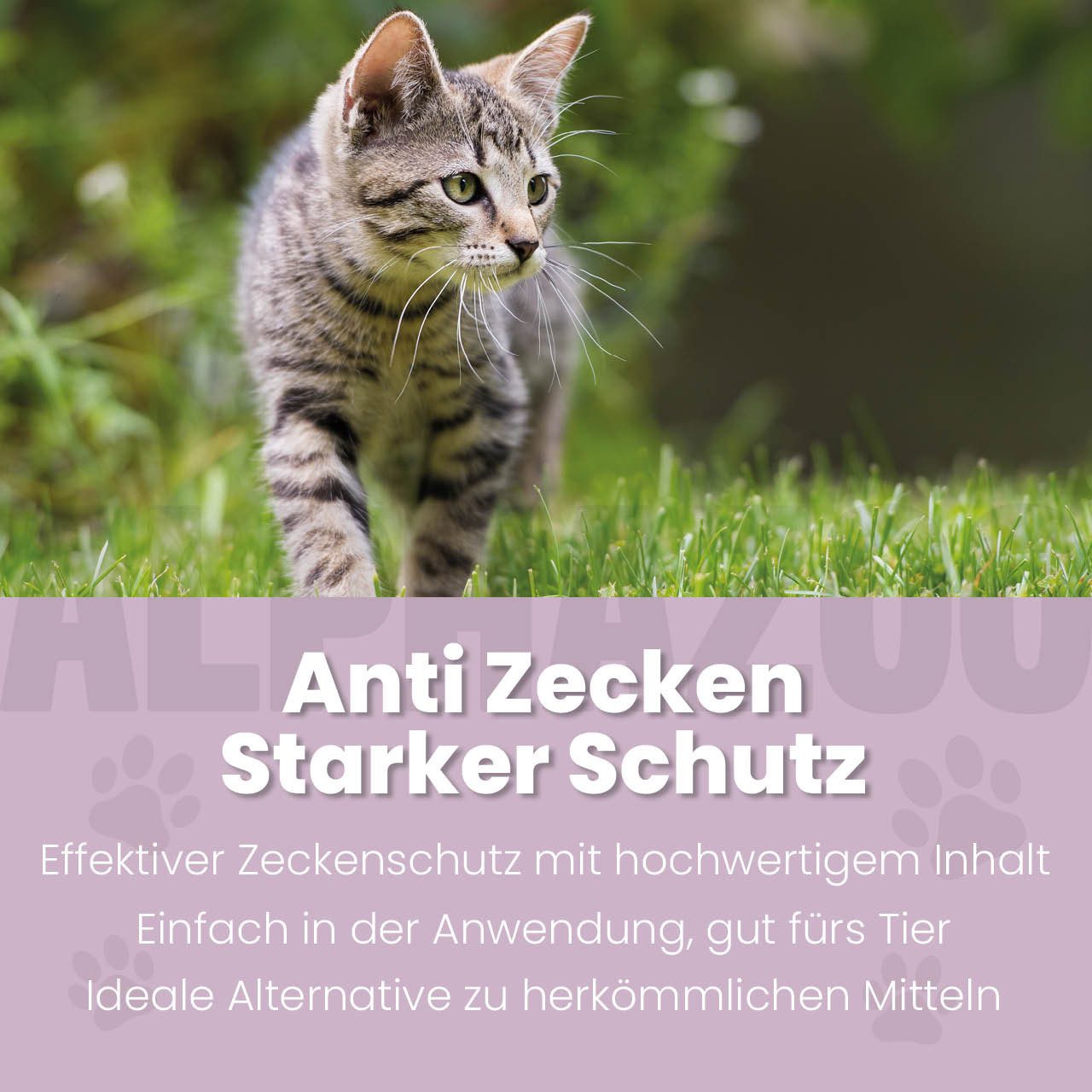 ALPHAZOO Zeckenschutzmittel ZeckAttack Spot-On für Katzen 100 ml, 100 ml