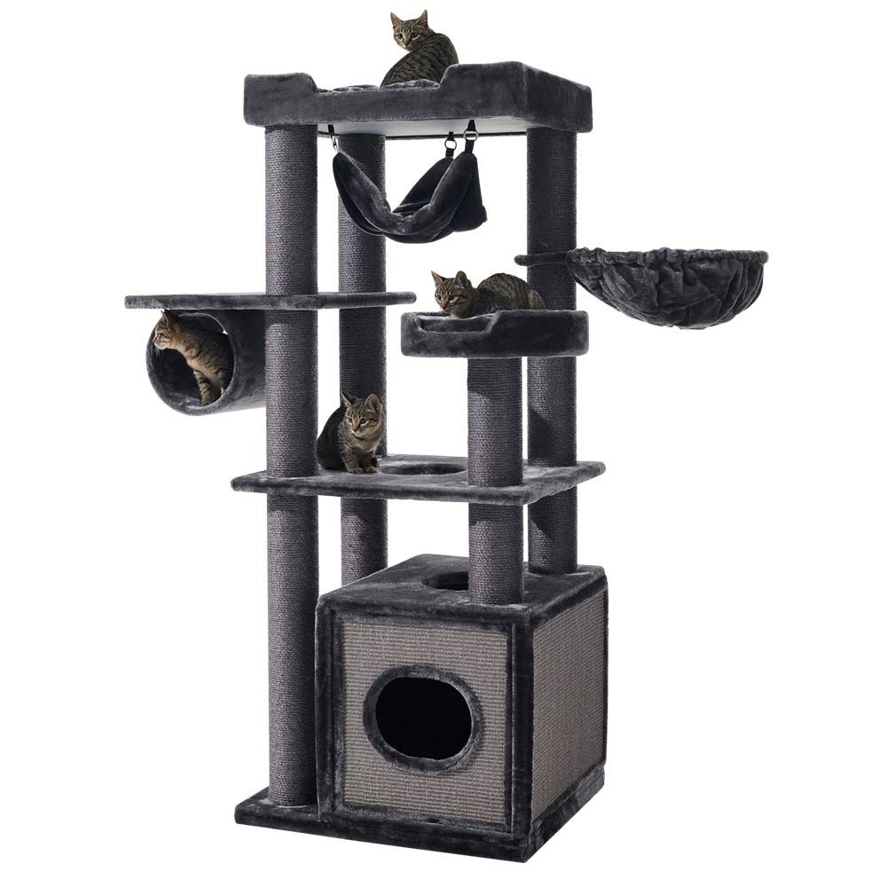 Nobby Kratzbaum Kratzbaum "Faris"