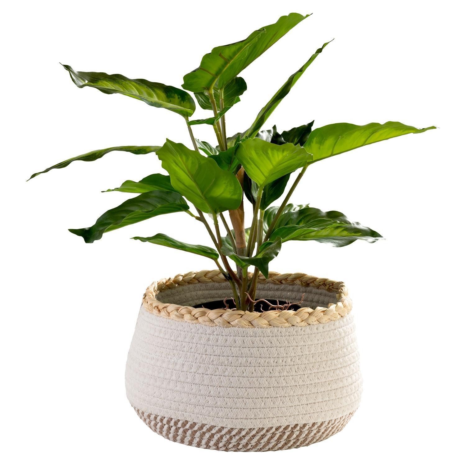 Home4You Aufbewahrungskorb, Ø 25 cm, Beige, Weiß, Baumwolle, ohne Griffe, (1 St)