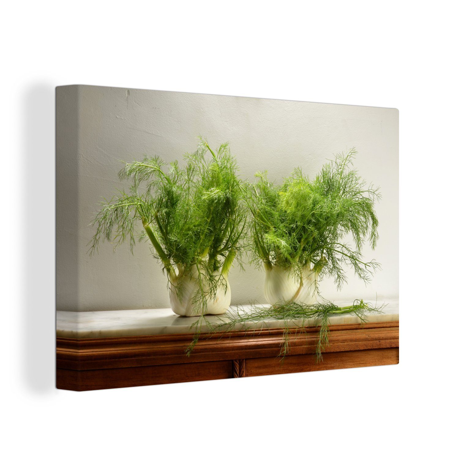 Wanddeko, (1 cm St), Aufhängefertig, Rustikaler 30x20 Leinwandbilder, mit Fenchelpflanzen, Holzschrank OneMillionCanvasses® Leinwandbild Wandbild