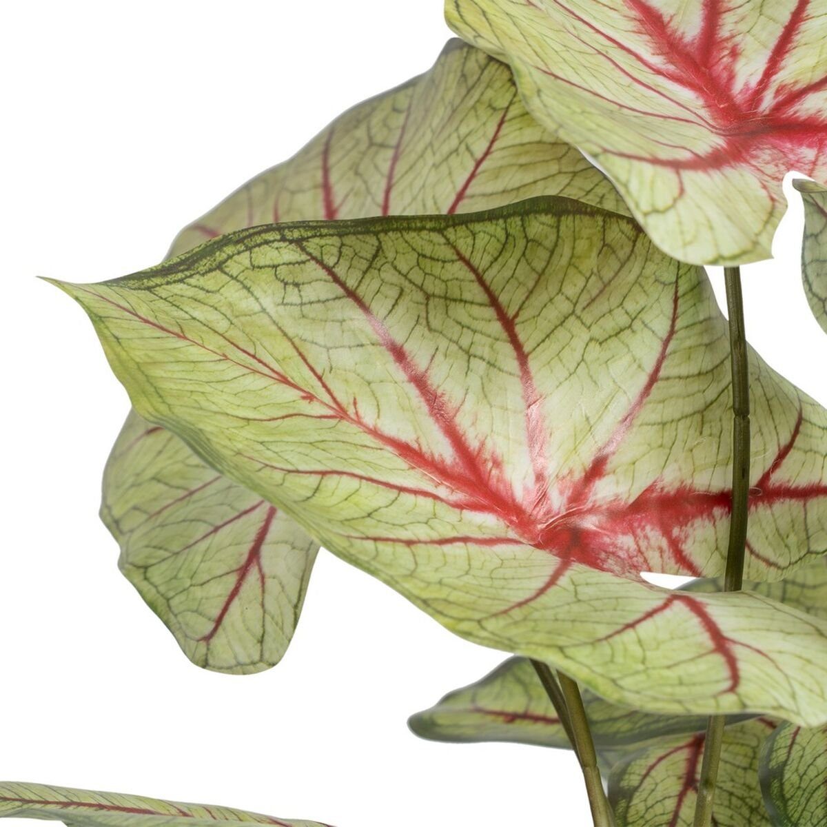 Bigbuy, x Zimmerpflanze 35 grün cm Höhe 40 PVC 58 cm, Künstliche Dekorationspflanze x Rot 55