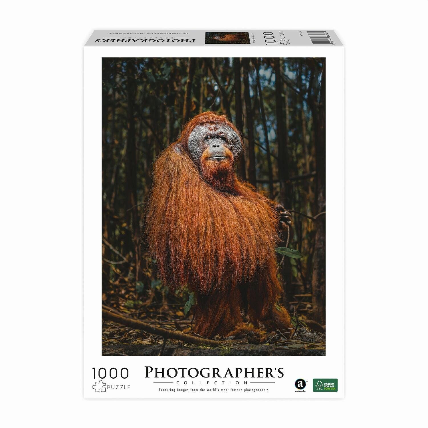 Puzzle 1000 - Teile Boyd), Carletto Puzzleteile (Donal Orang-Utan 1000 AMBASSADOR