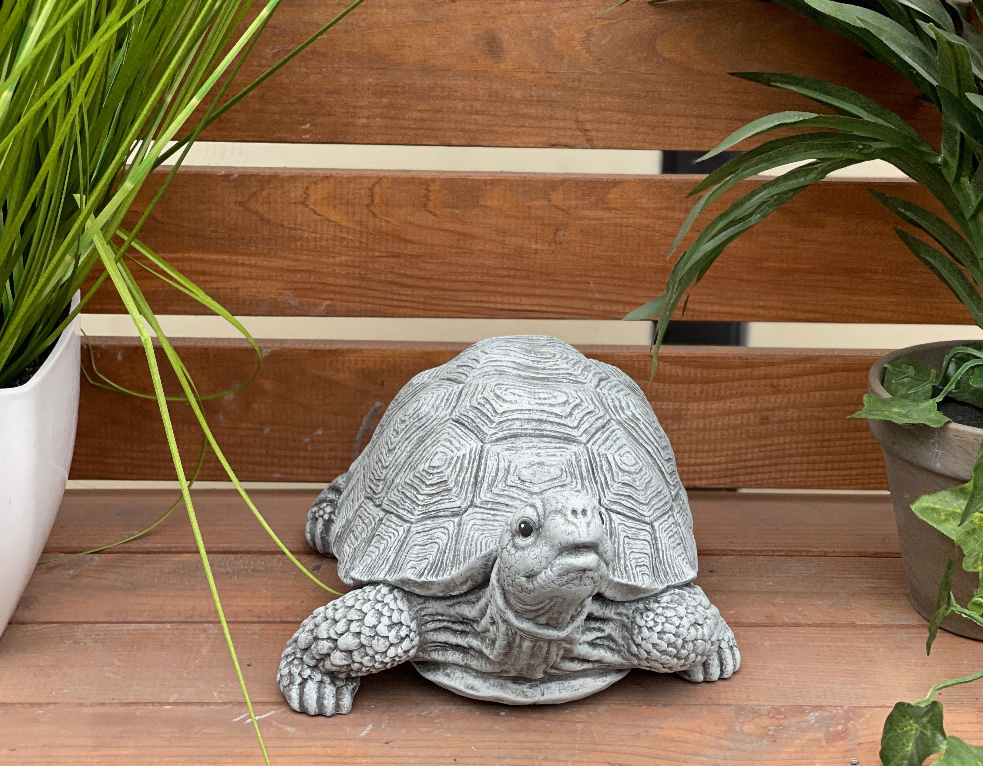 Stone and Style Gartenfigur Frostfeste Steinfigur Schildkröte Tortie – Bild 3 von 5