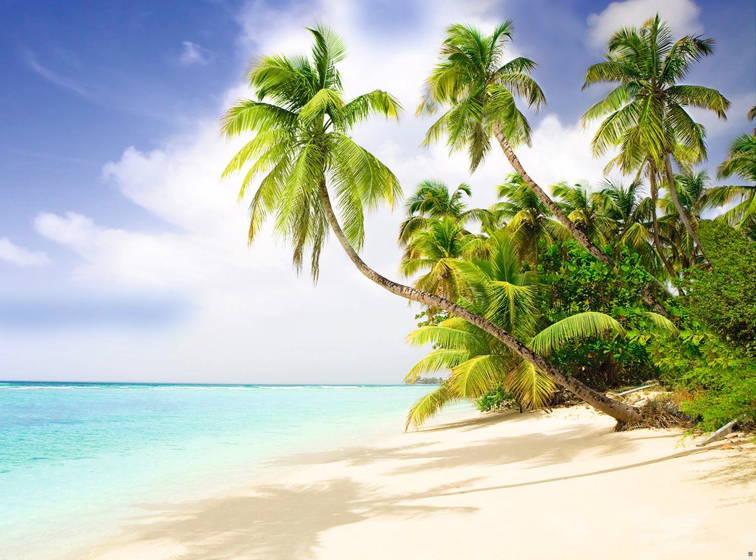 Fototapete Beach in the South Seas