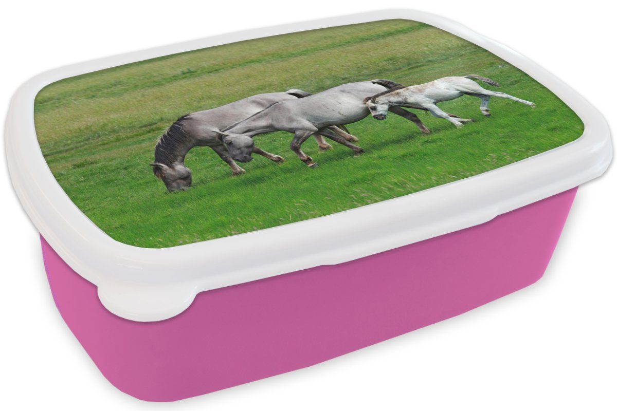 MuchoWow Lunchbox Pferde - Tiere Kinder, Erwachsene, - (2-tlg), Kunststoff, für Mädchen, Kunststoff Gras, Brotbox rosa Brotdose Snackbox