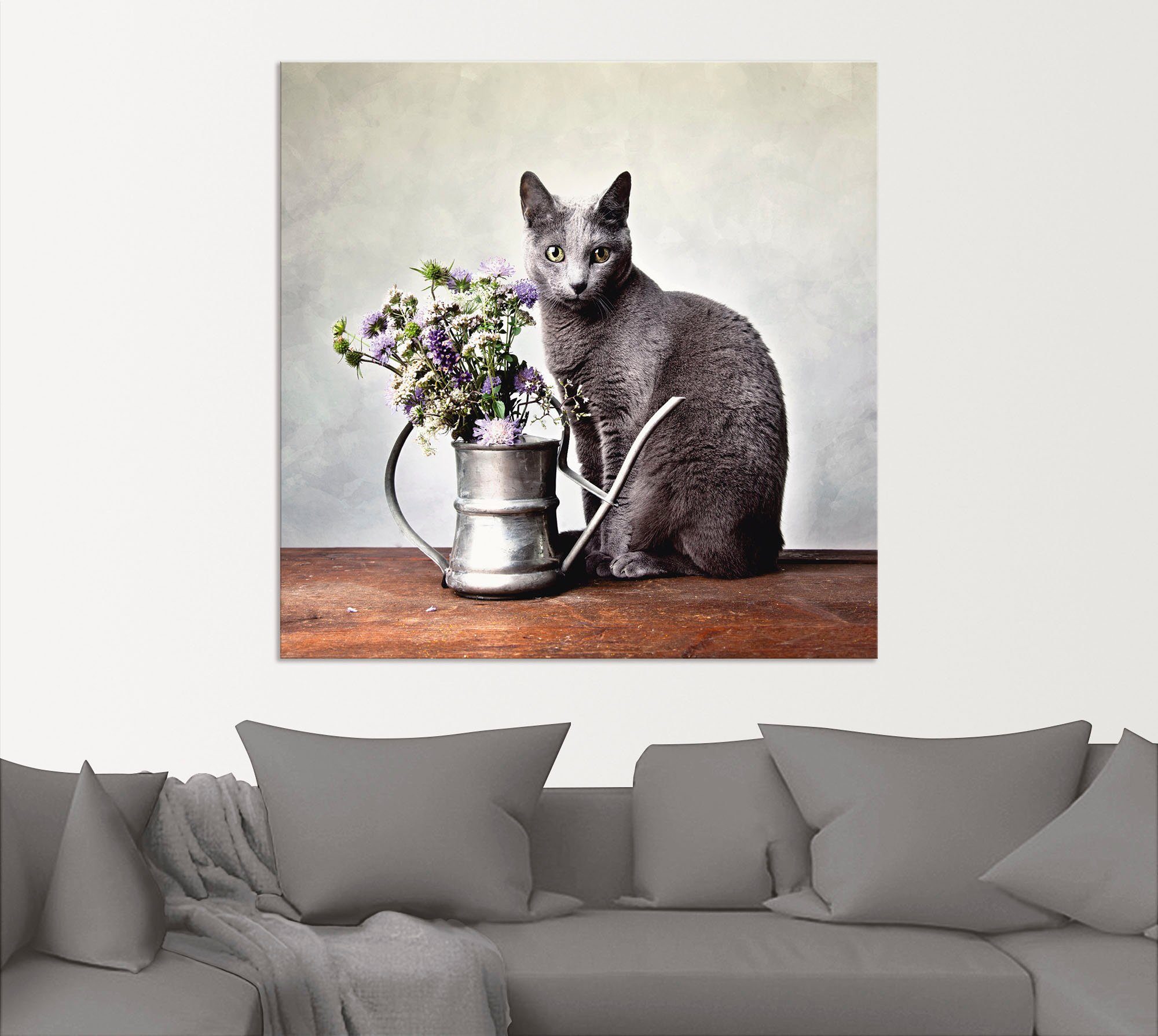versch. in oder Wandaufkleber Deko, Leinwandbild, Wandbild Alubild, (1 Artland Katze Poster Haustiere als mit Größen St),