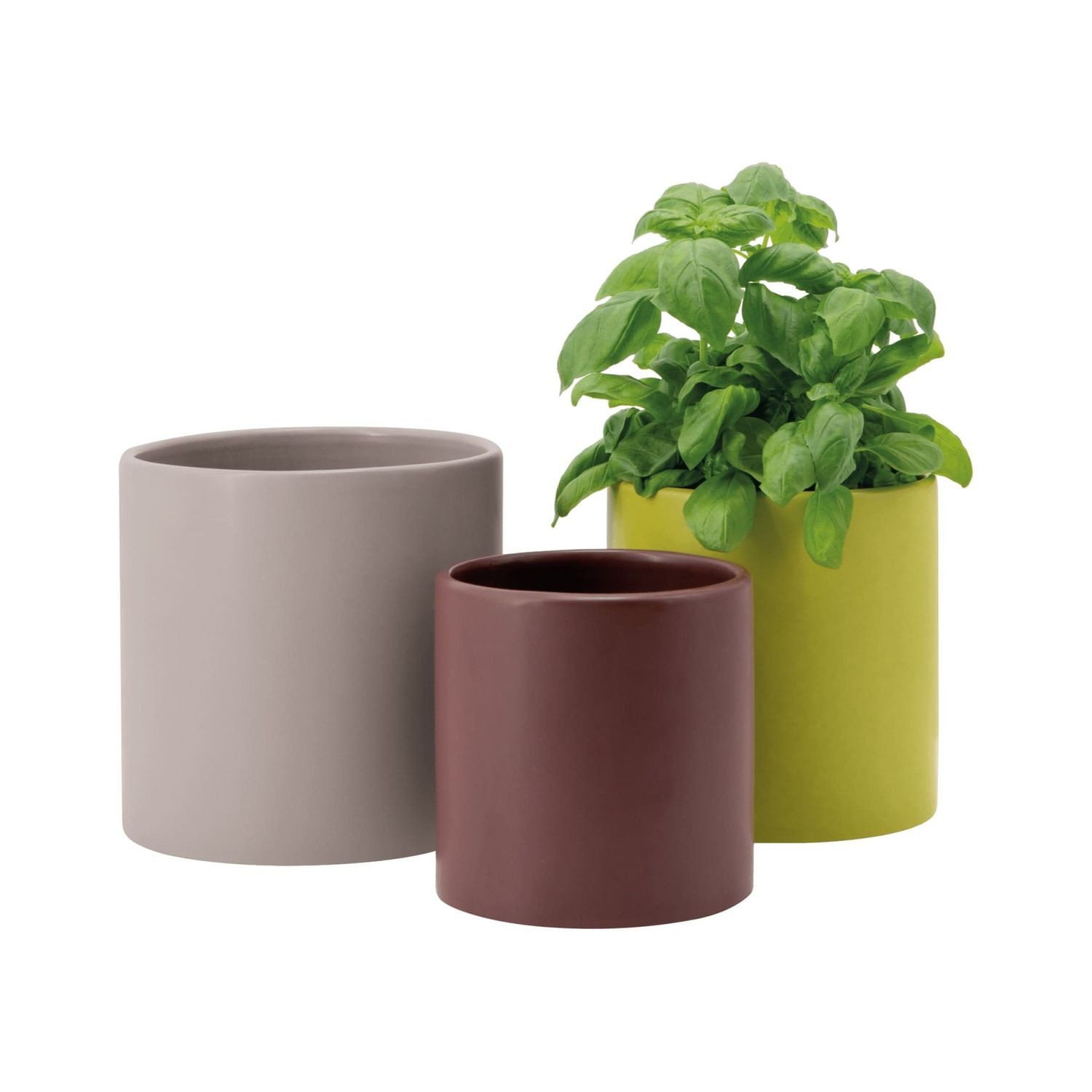 Remember Blumentopf Siena (Set, 3 St) günstig online kaufen